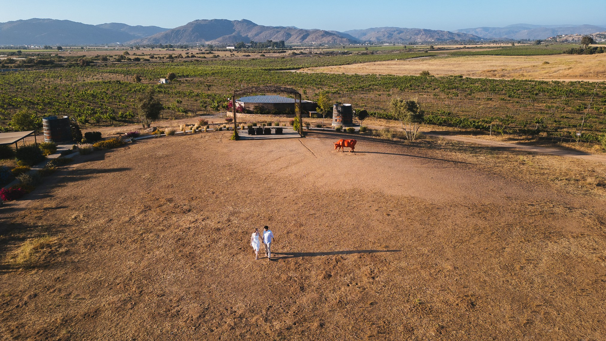 Valle de Guadalupe Save The Date Kristen y Luis. Estudio de fotografia en Tijuana