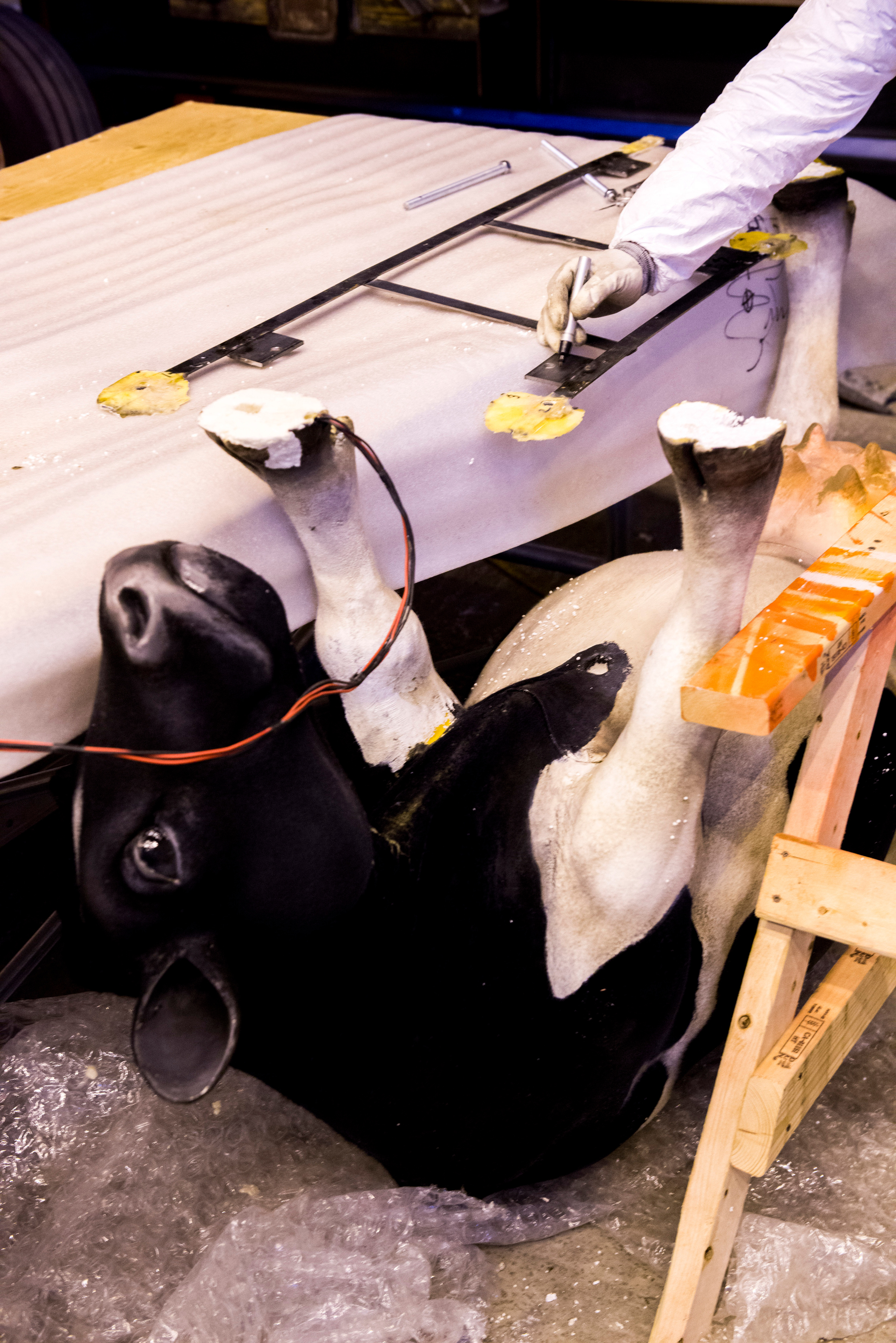 SOCHI OLYMPICS. Grigoriy Yaroshenko photography | Фотограф Григорий Ярошенко