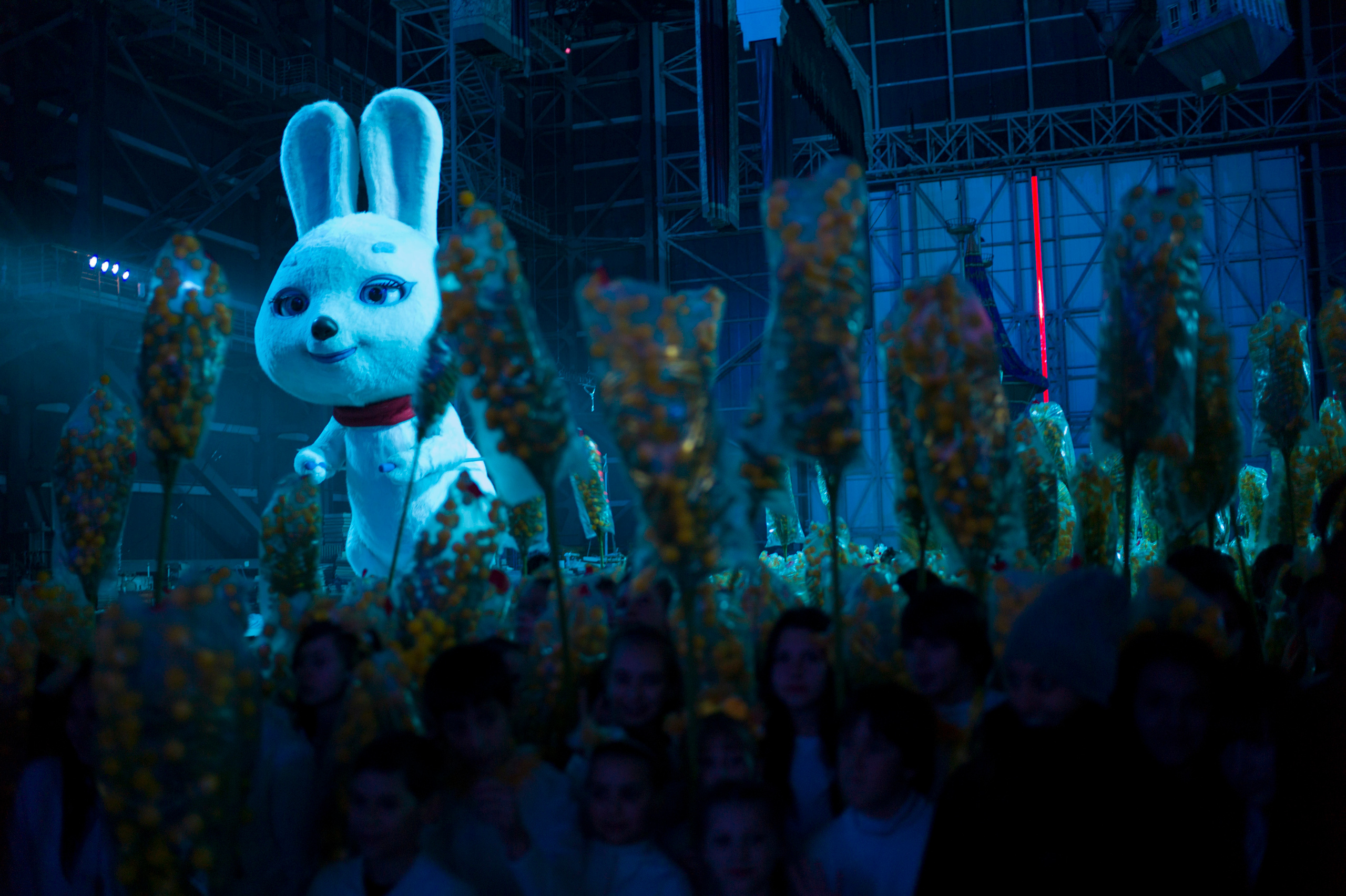 SOCHI OLYMPICS. Grigoriy Yaroshenko photography | Фотограф Григорий Ярошенко