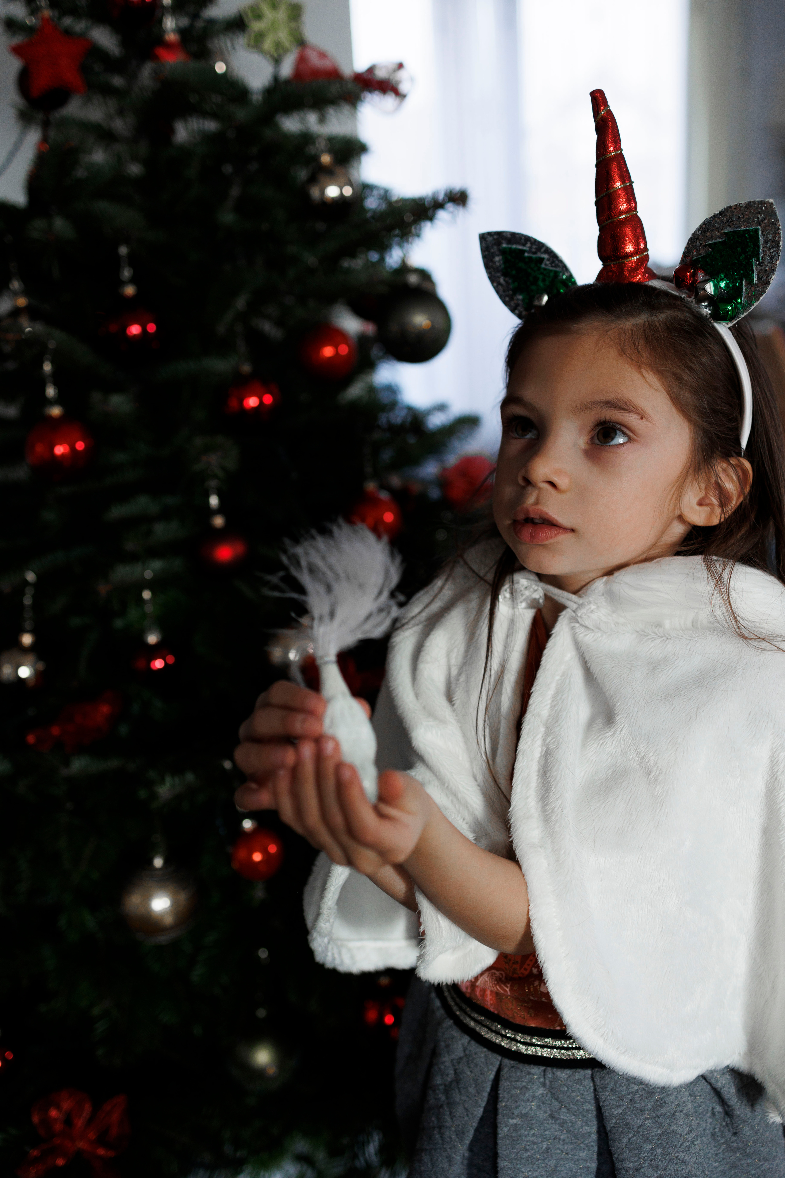 FotoStory " Weihnachtsbaum ". FotoStory by Lana Gfeller / Kanton Zürich