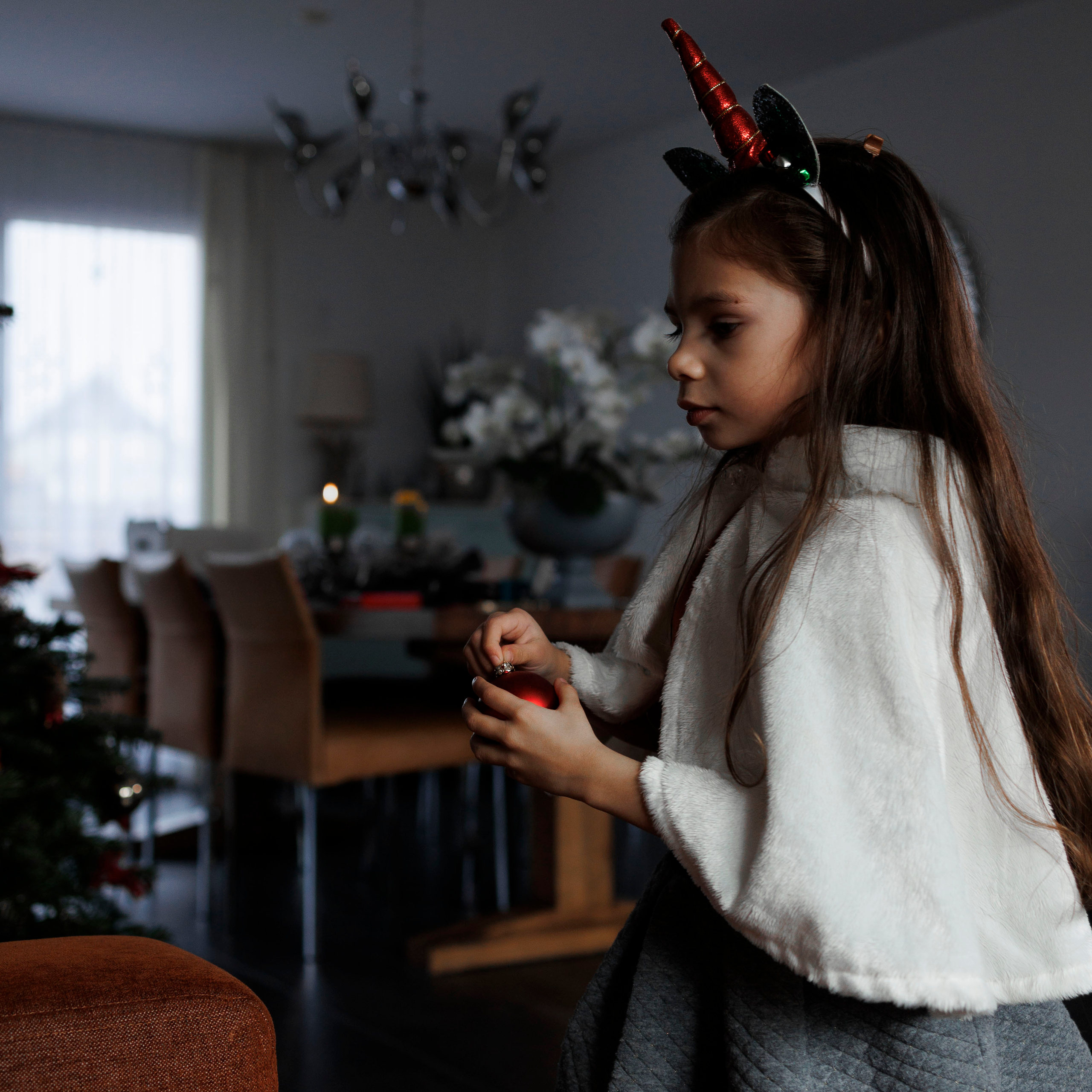 FotoStory " Weihnachtsbaum ". FotoStory by Lana Gfeller / Kanton Zürich