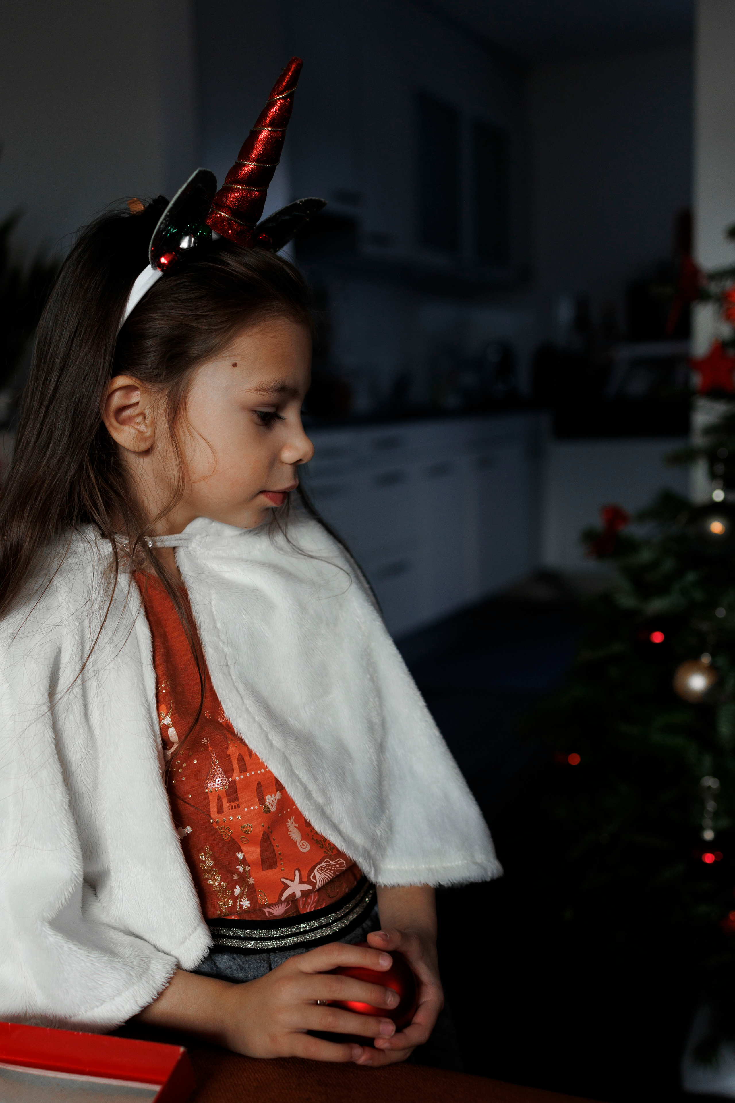 FotoStory " Weihnachtsbaum ". FotoStory by Lana Gfeller / Kanton Zürich