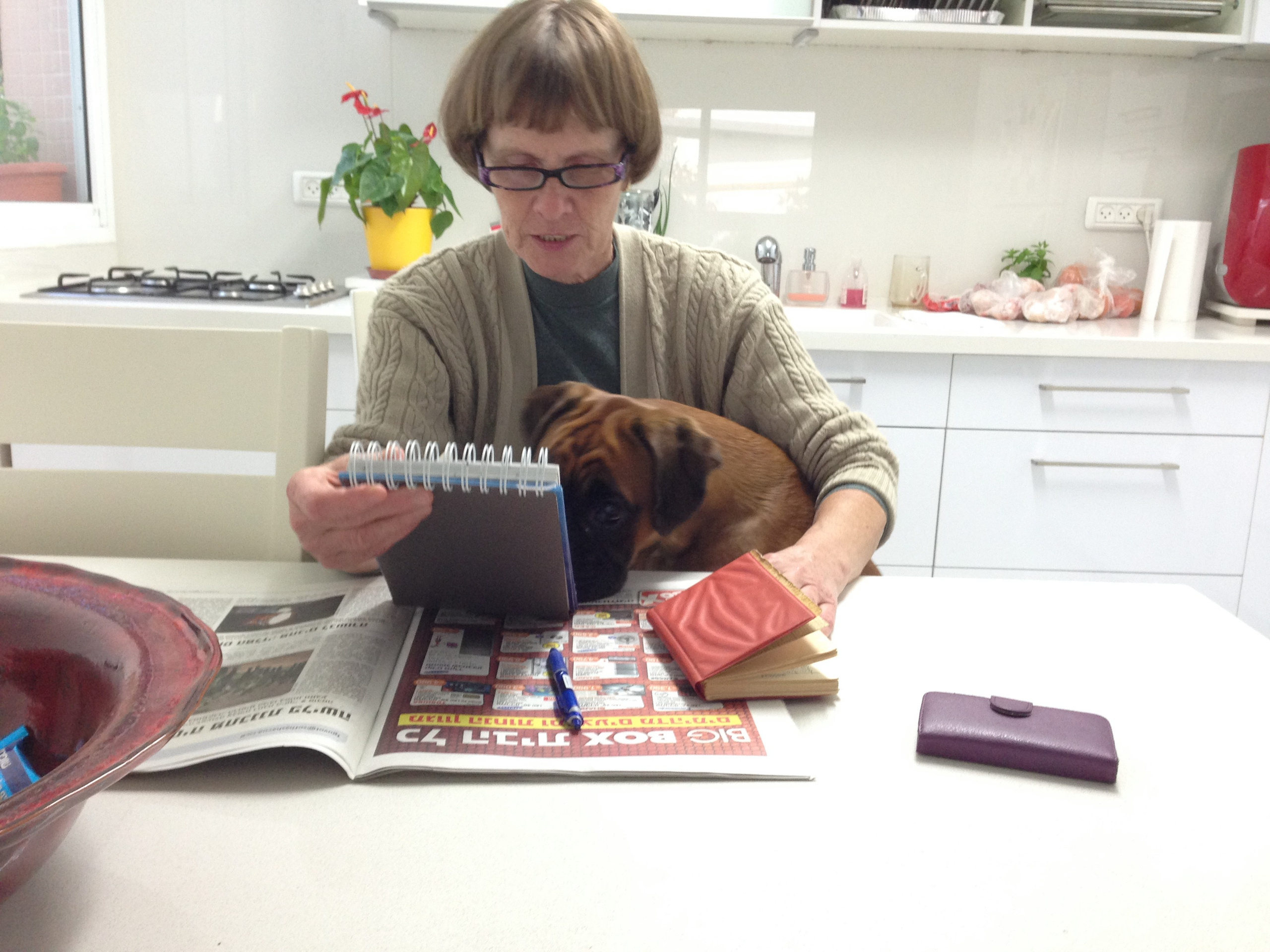 My ״Star״ Boxer Dog