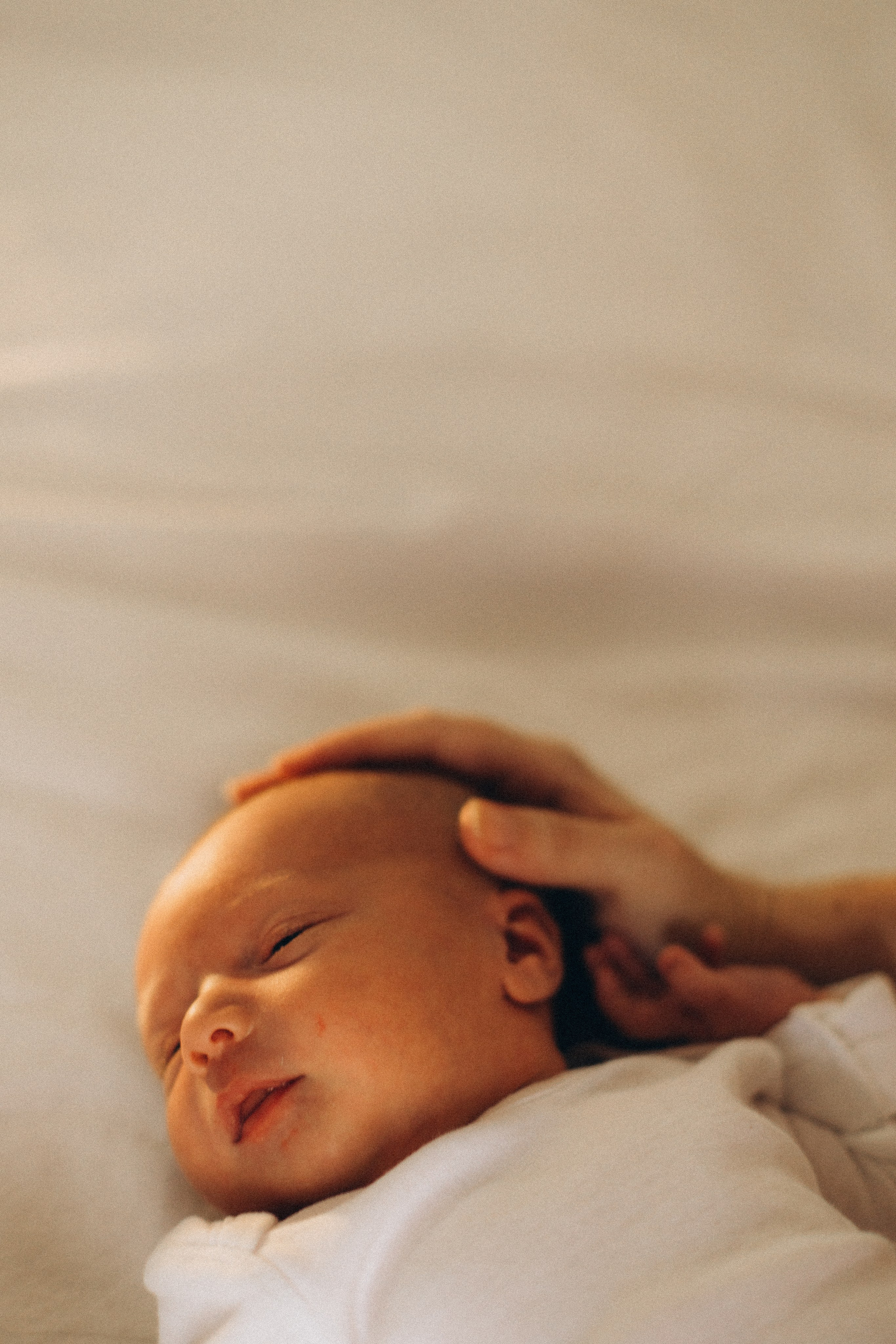 Shayne, Alon, Yanay and Kedem