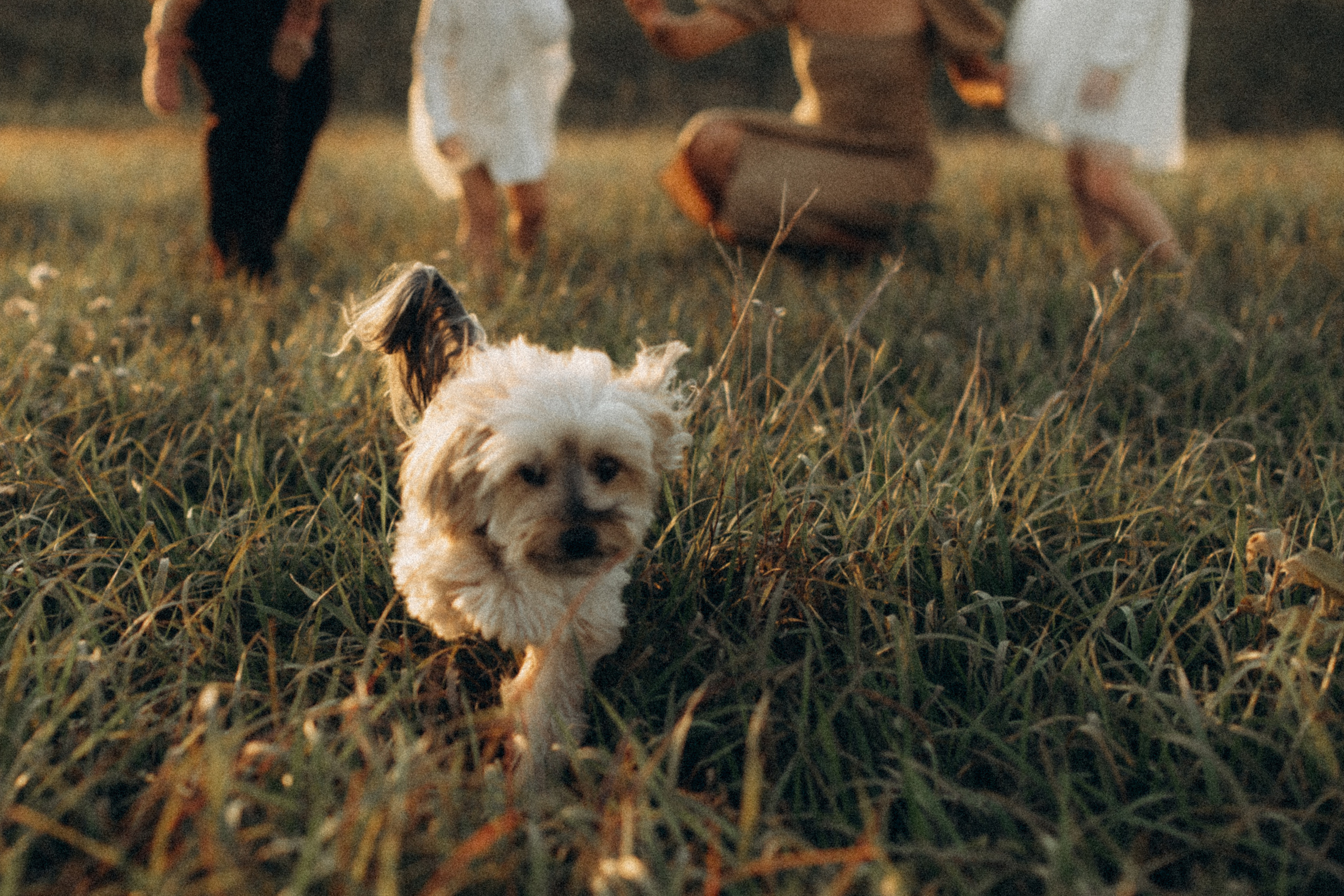 Dustin, Melissa and their sweet little princesses. CAPTURED BY SHANKS PHOTOGRAPHY