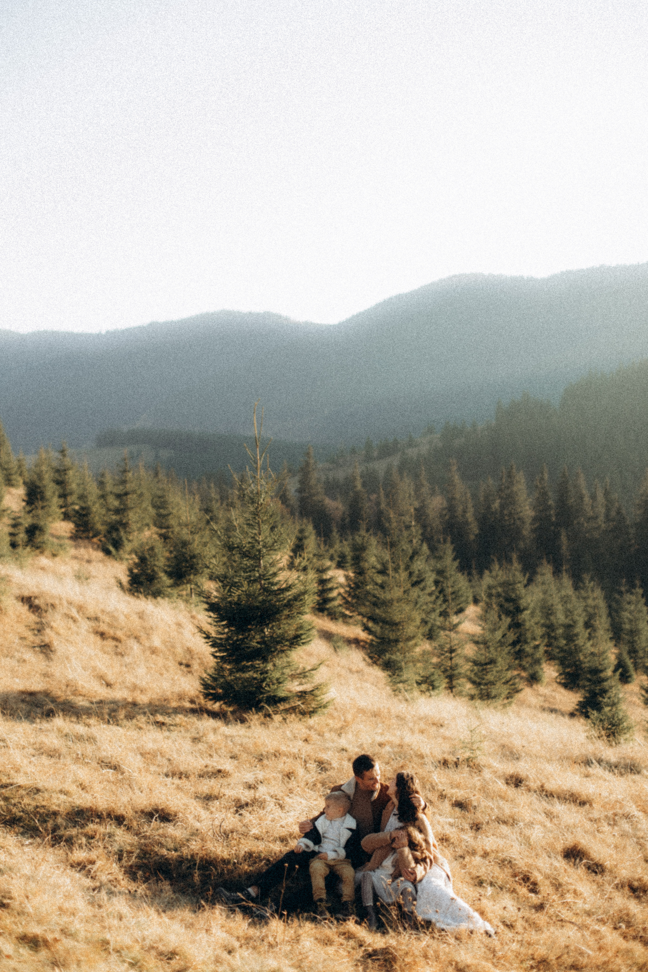 Carpathian mountains. CAPTURED BY SHANKS PHOTOGRAPHY
