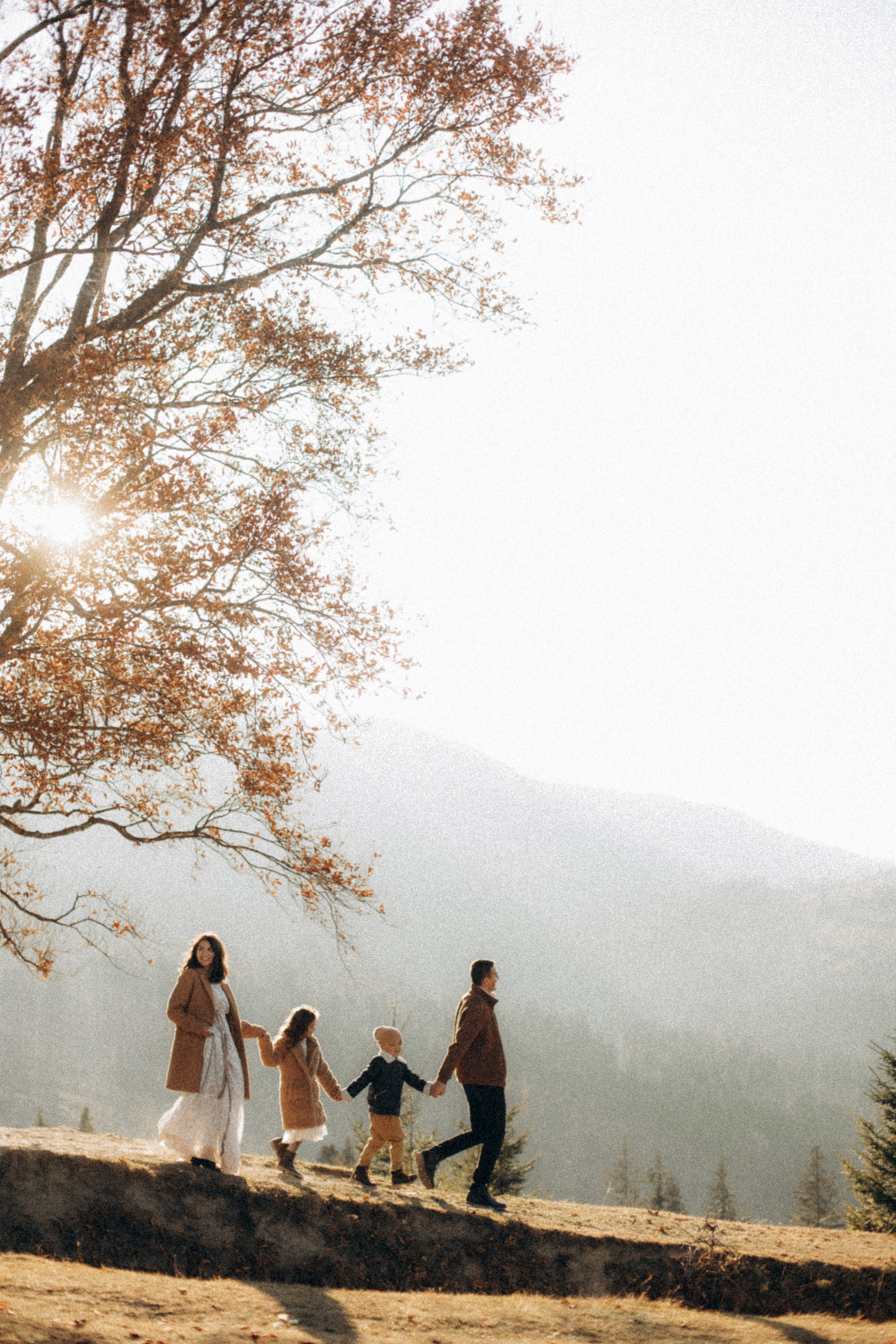 Carpathian mountains. CAPTURED BY SHANKS PHOTOGRAPHY
