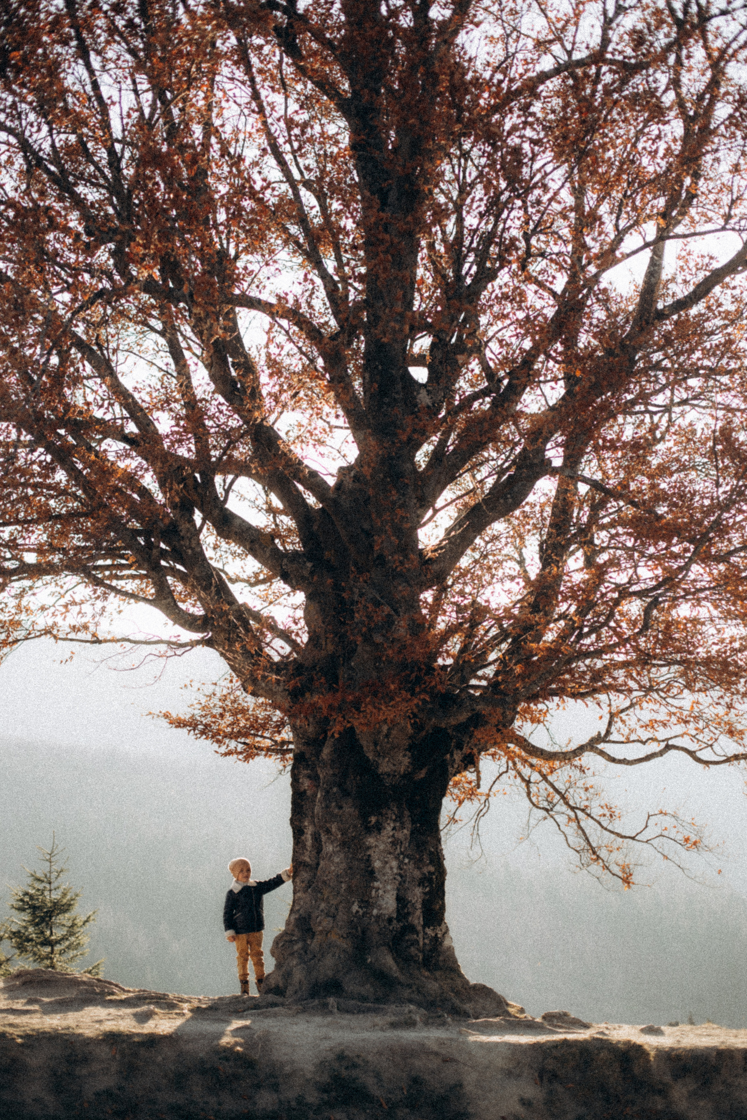 Carpathian mountains. CAPTURED BY SHANKS PHOTOGRAPHY
