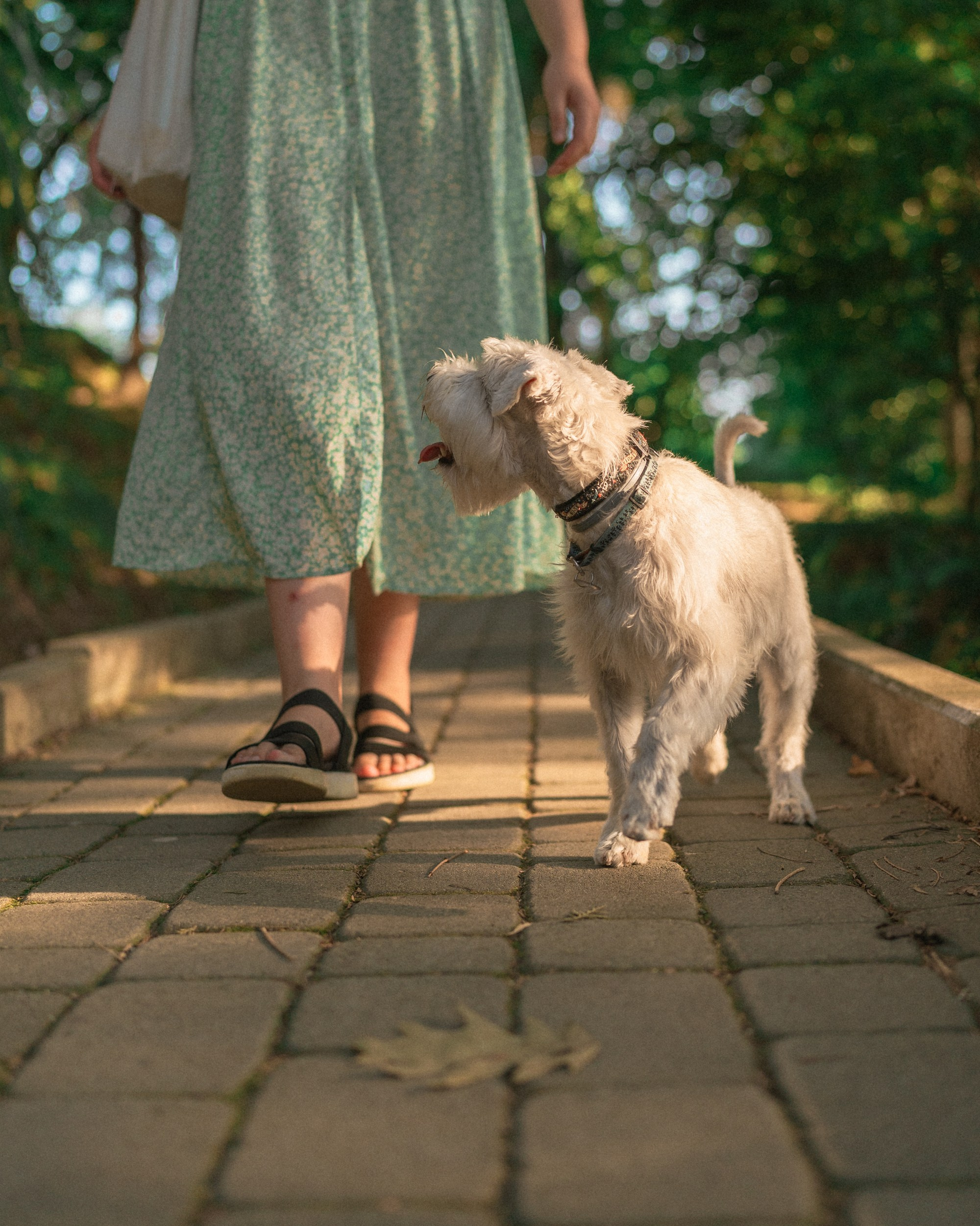 Ольга и Халва. Индивидуальный и свадебный фотограф в Батуми Валерия Азаренко