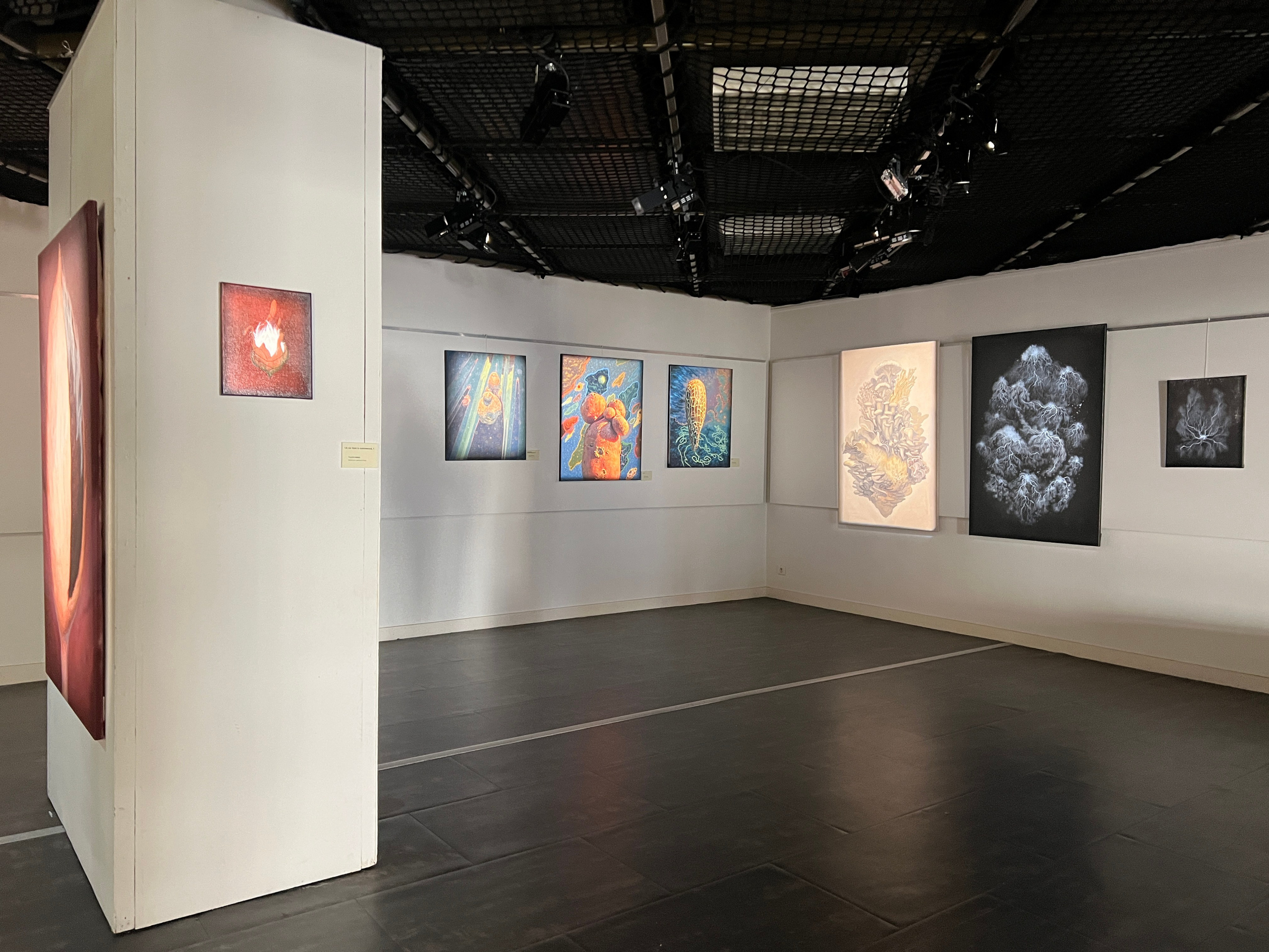 Jardin imaginé.2025. Yujoo HONG