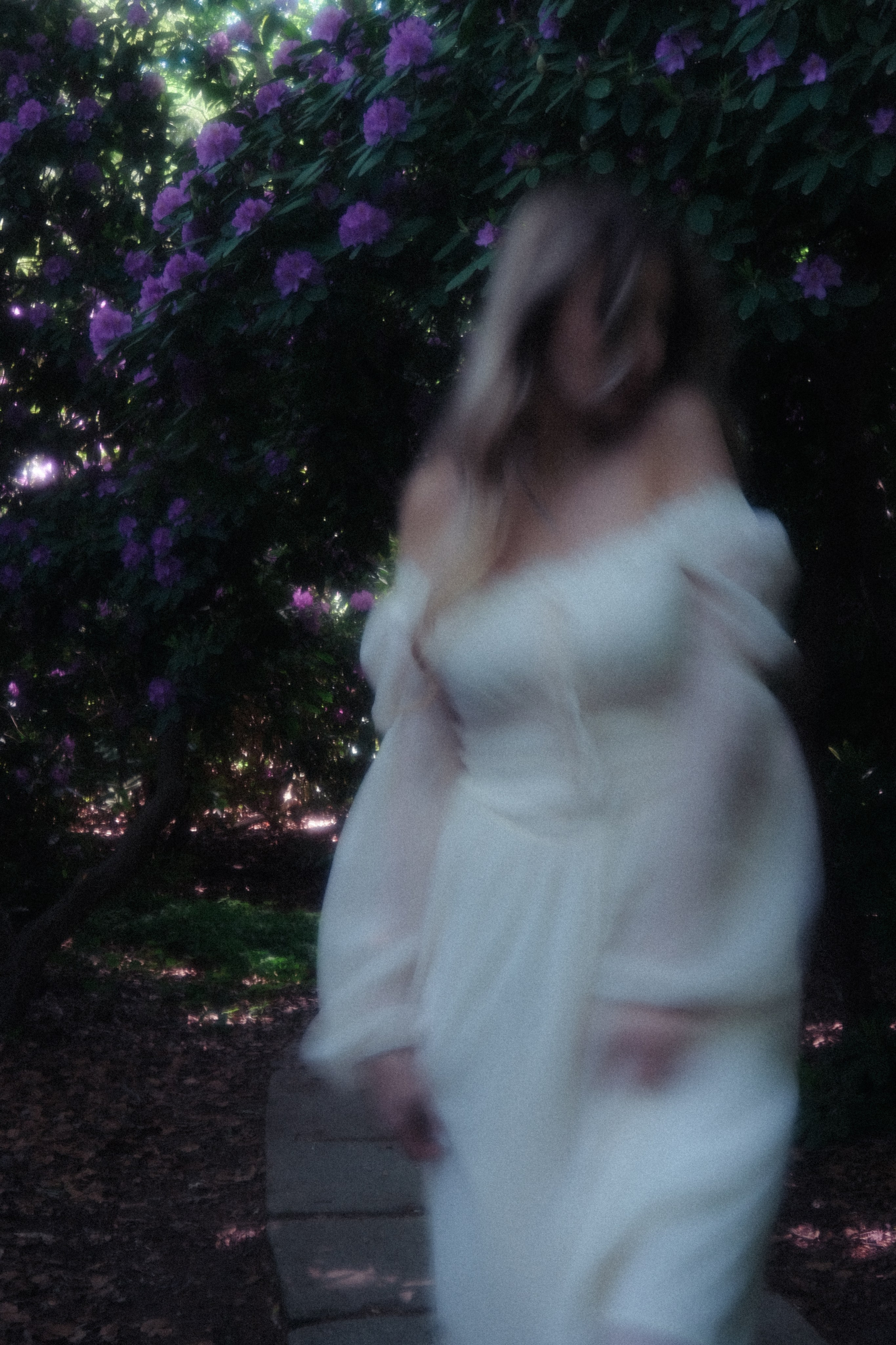 Somewhere between a dream and a fairytale ✨. Alena Iatkina — Fine Art Photographer