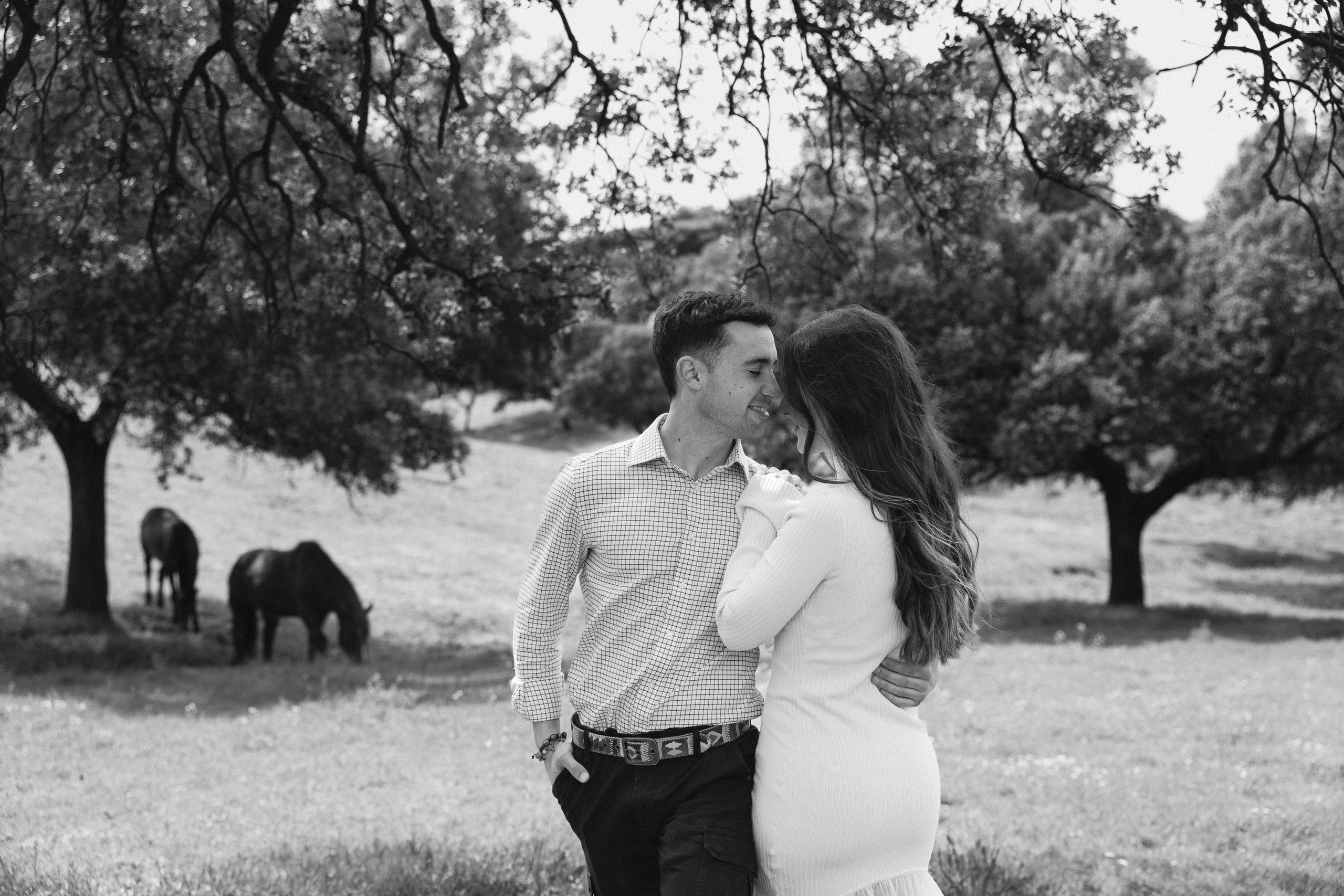 PREBODA EN UNA GANADERÍA DE TOROS. Fotógrafo y Videógrafo de bodas y eventos