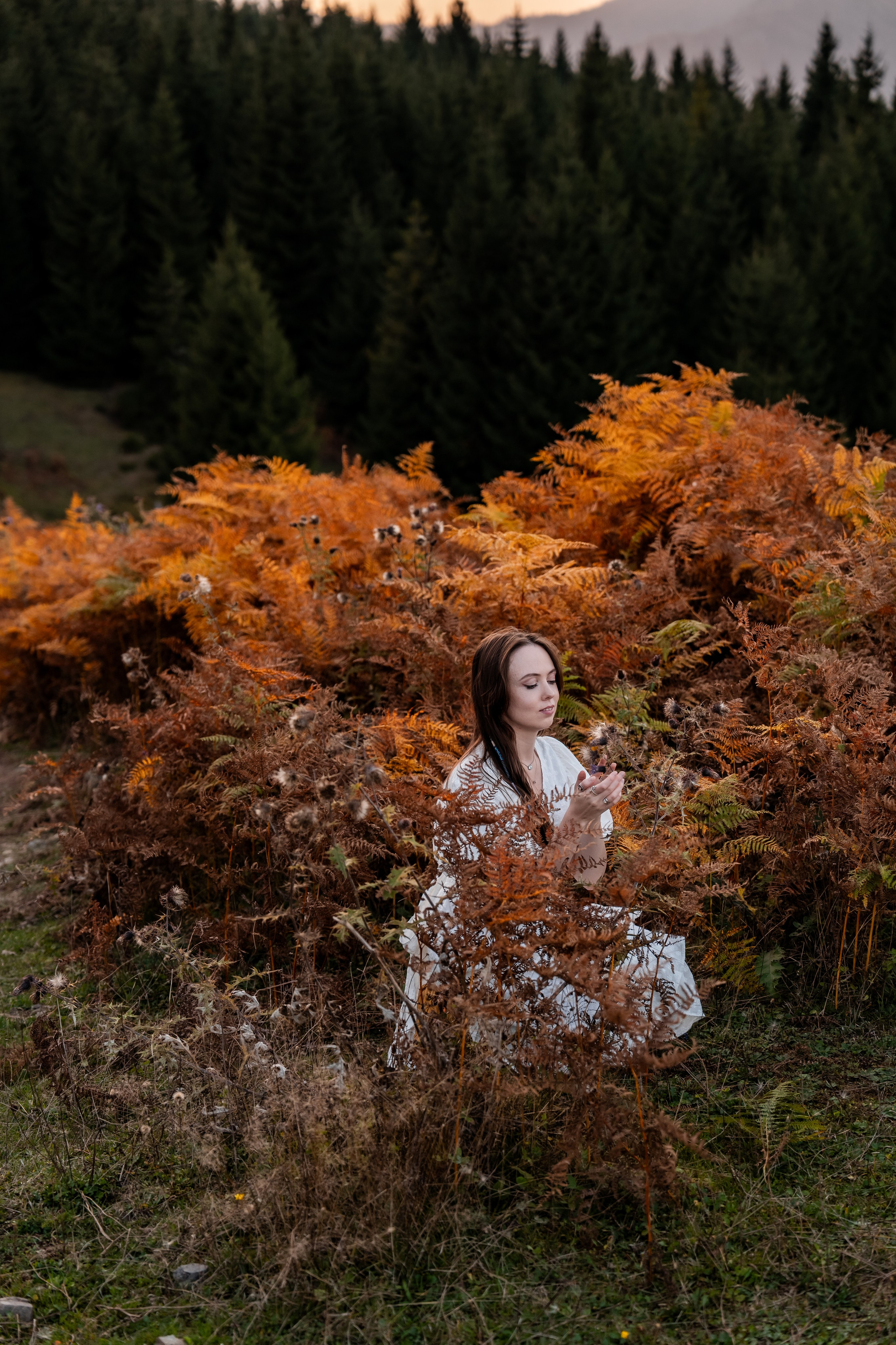 Golden Autumn. Ekaterina Verbitskaya. Photography