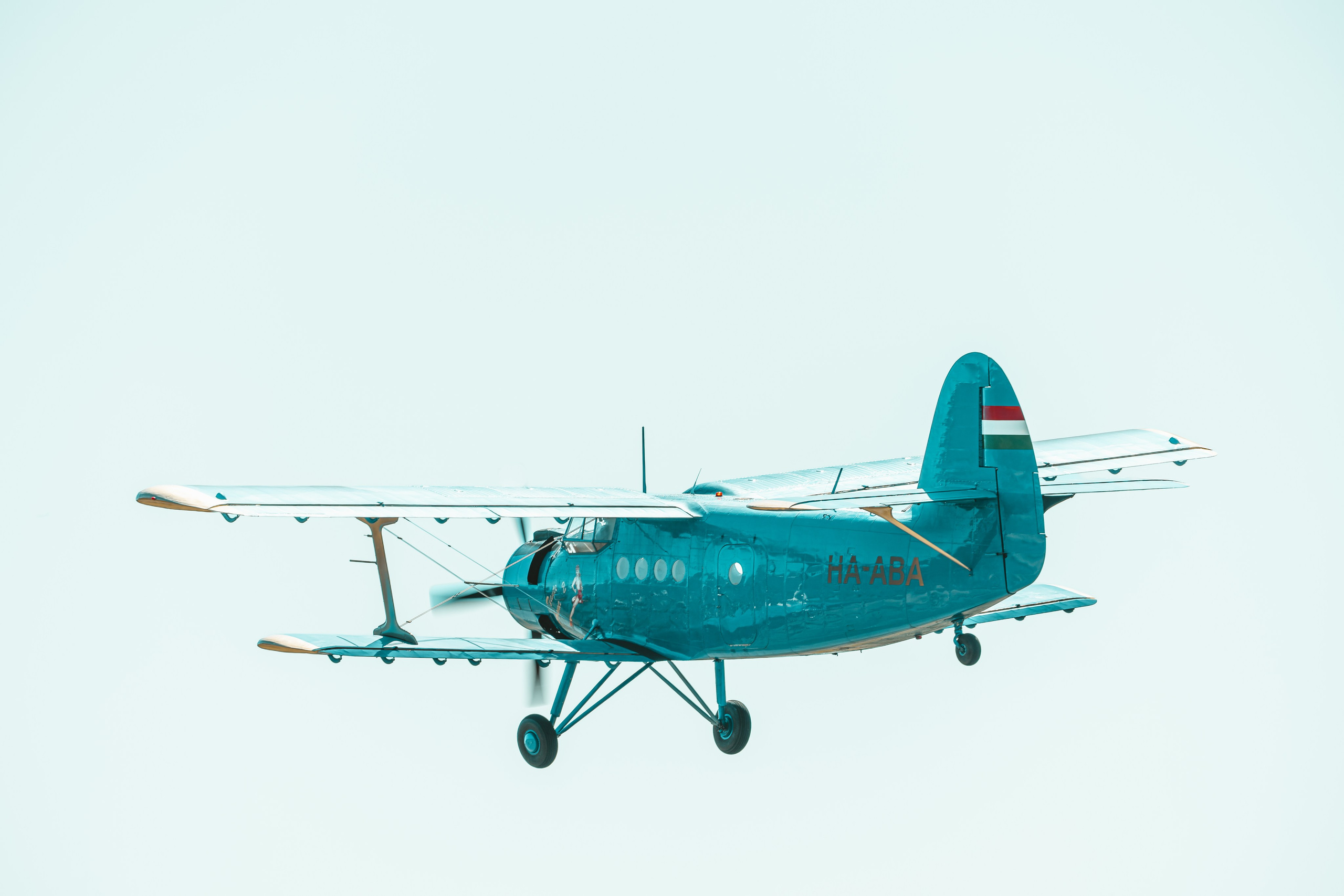 Wings and Friends · Grenchen 2026. Lutsenko Visuals — Photography & Visual Content