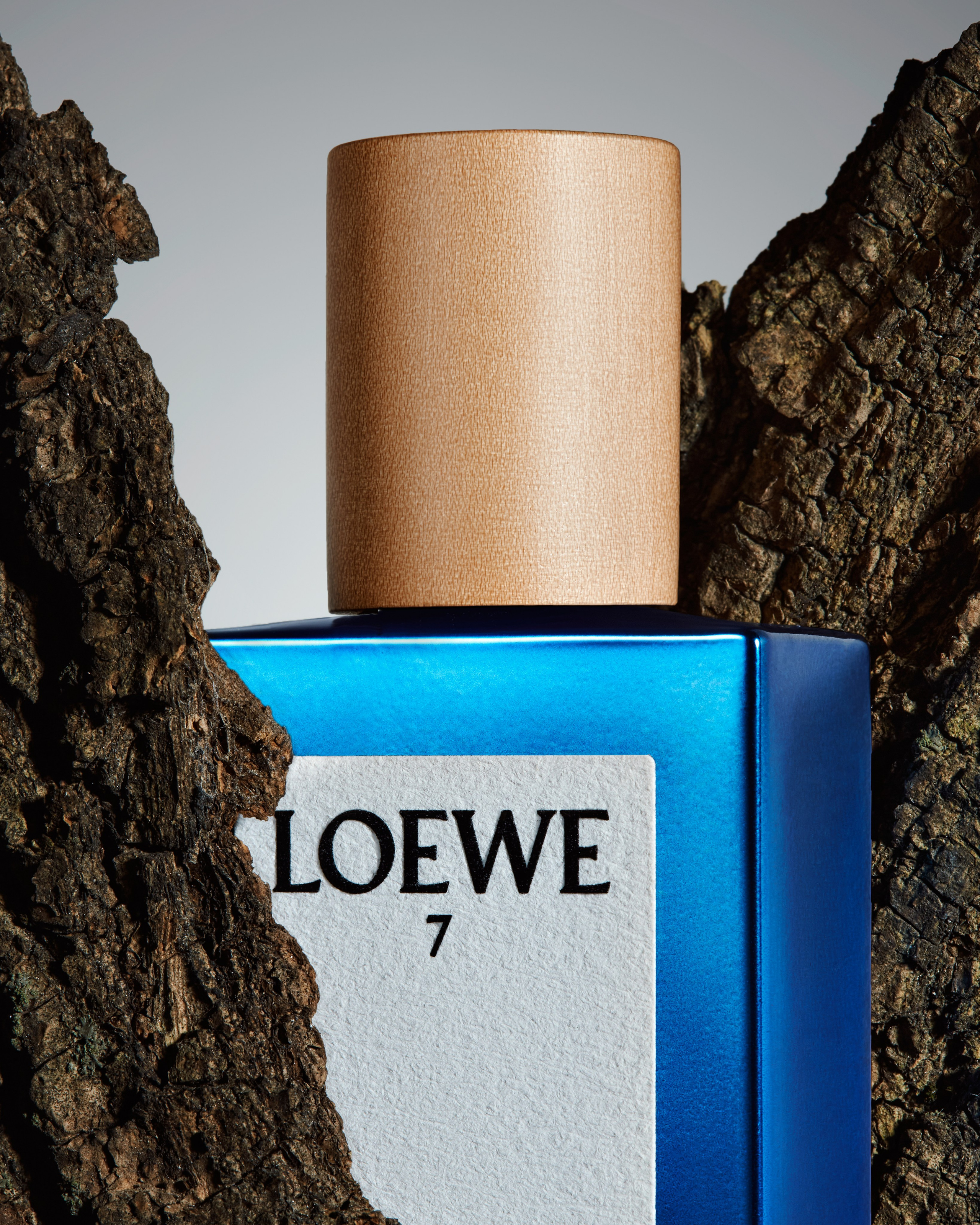 Loewe. Алина Ефимова — ретушёр (beaty, fashion, product)