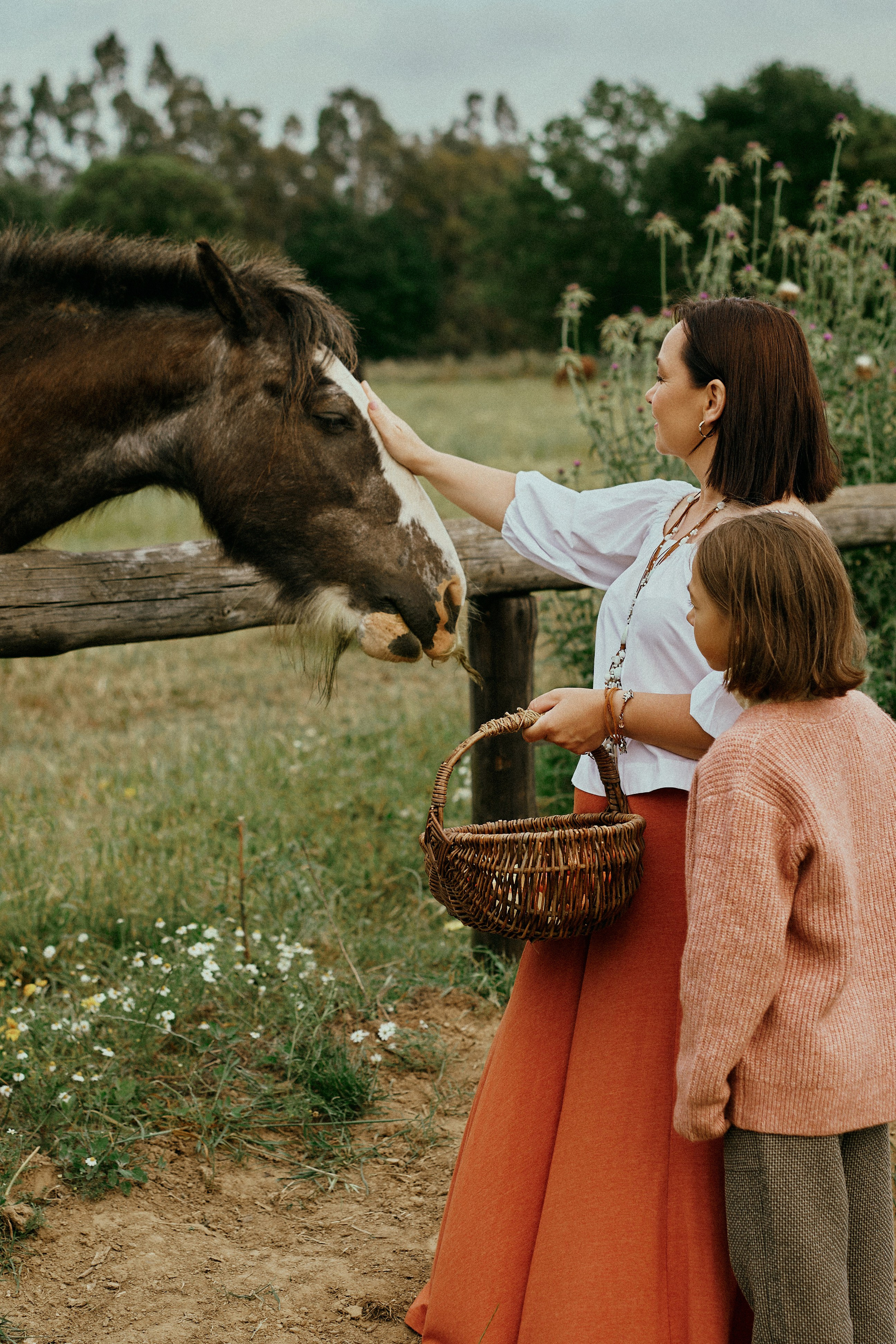 Летний день с лошадьми. Fotógrafa en España Zhanna Zakharchenko