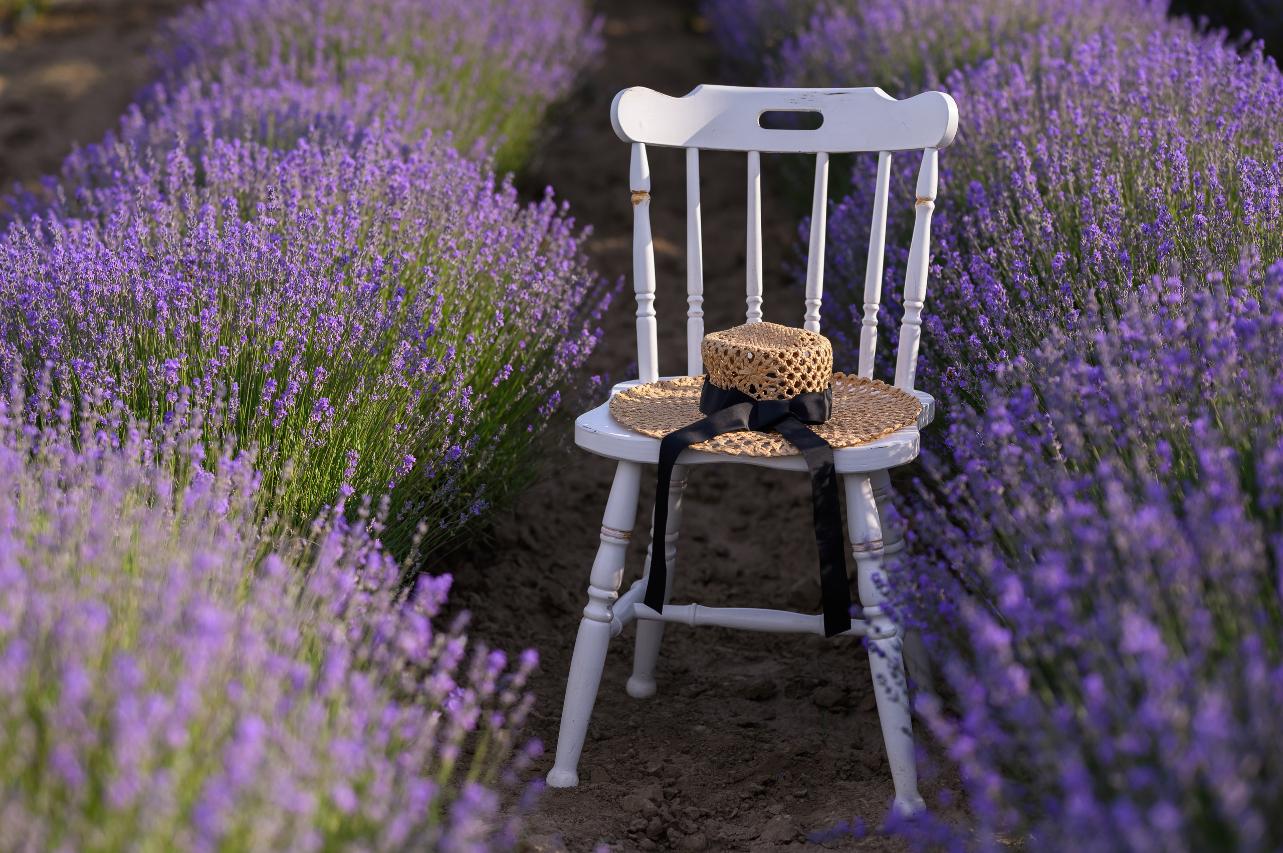 Portrete. Ligiafoto.ro