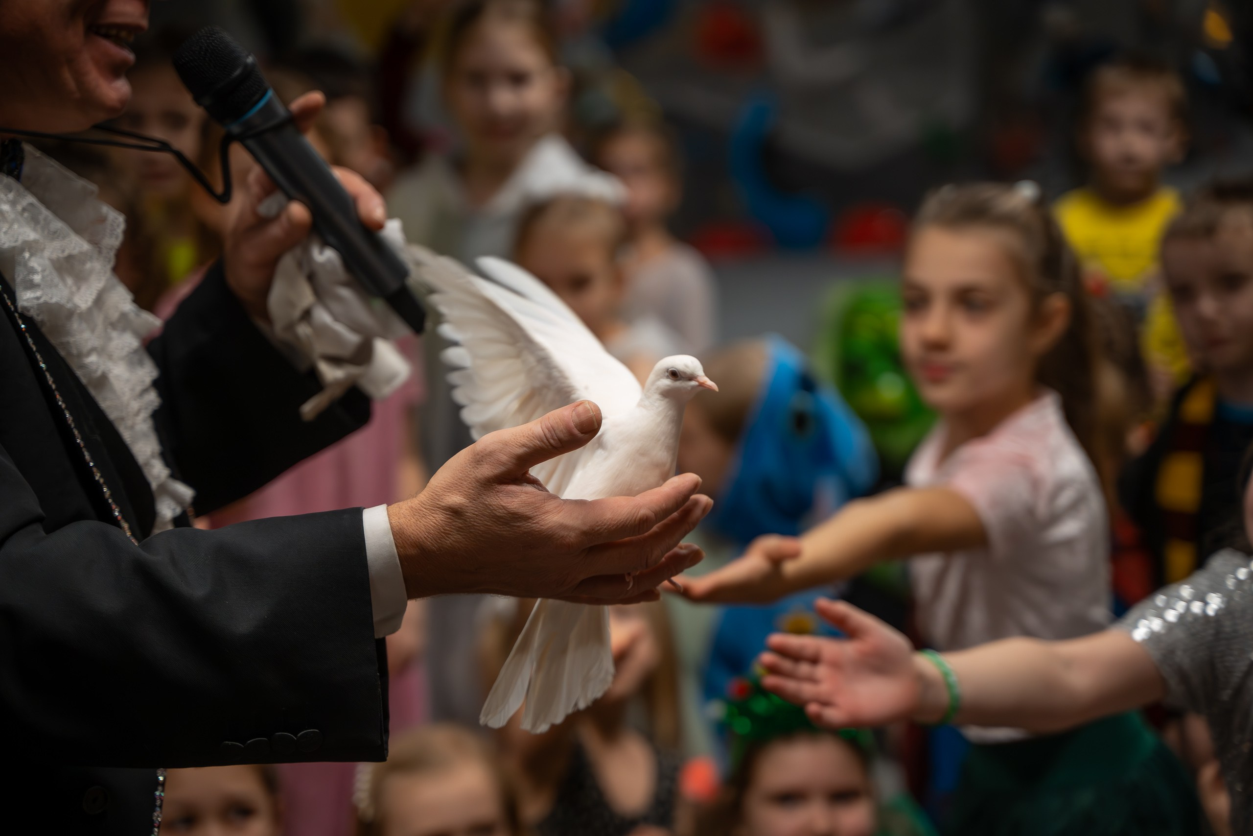 Свадьба и семья. Фотографы Дарья и Дмитрий Арсентьевы