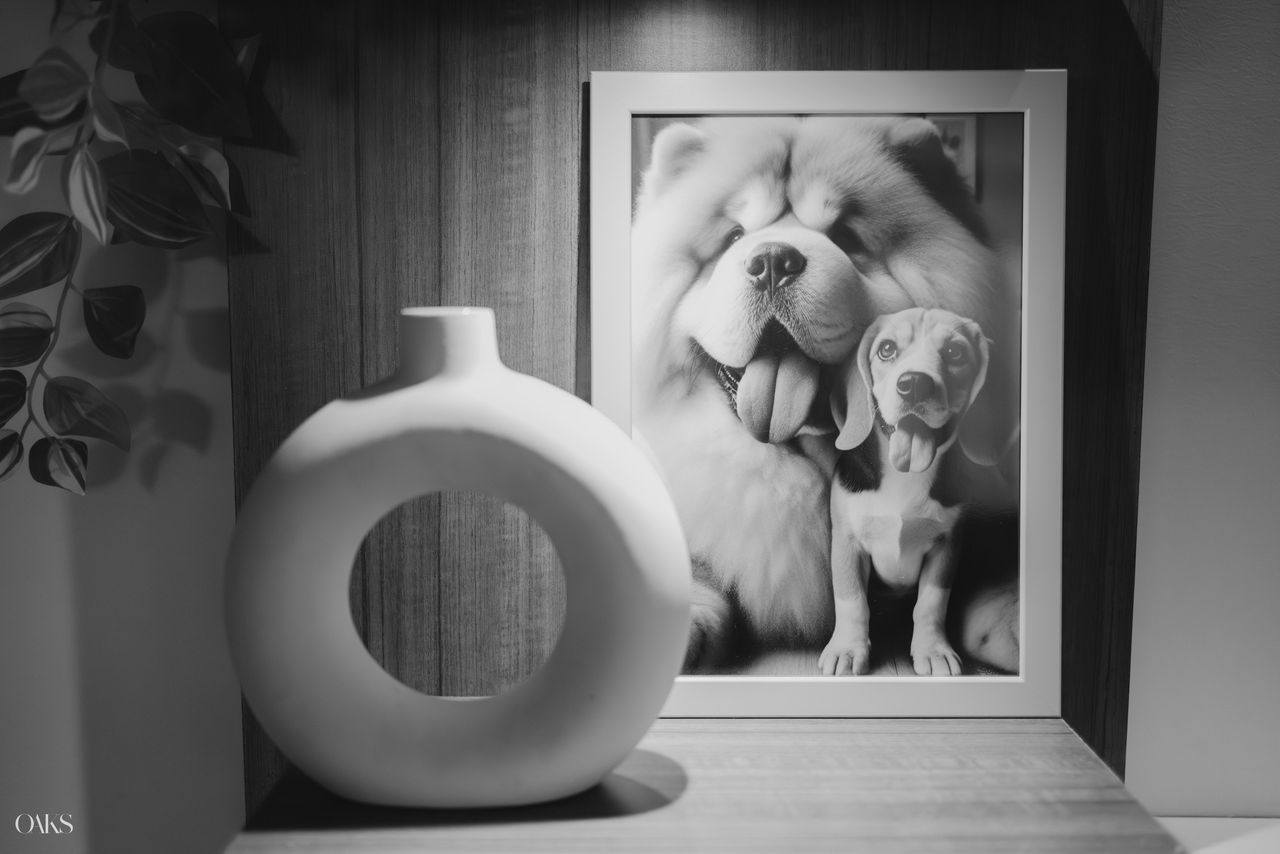 Prerna & Kunal. Wedding & Editorial Photographer | Anandshivadas