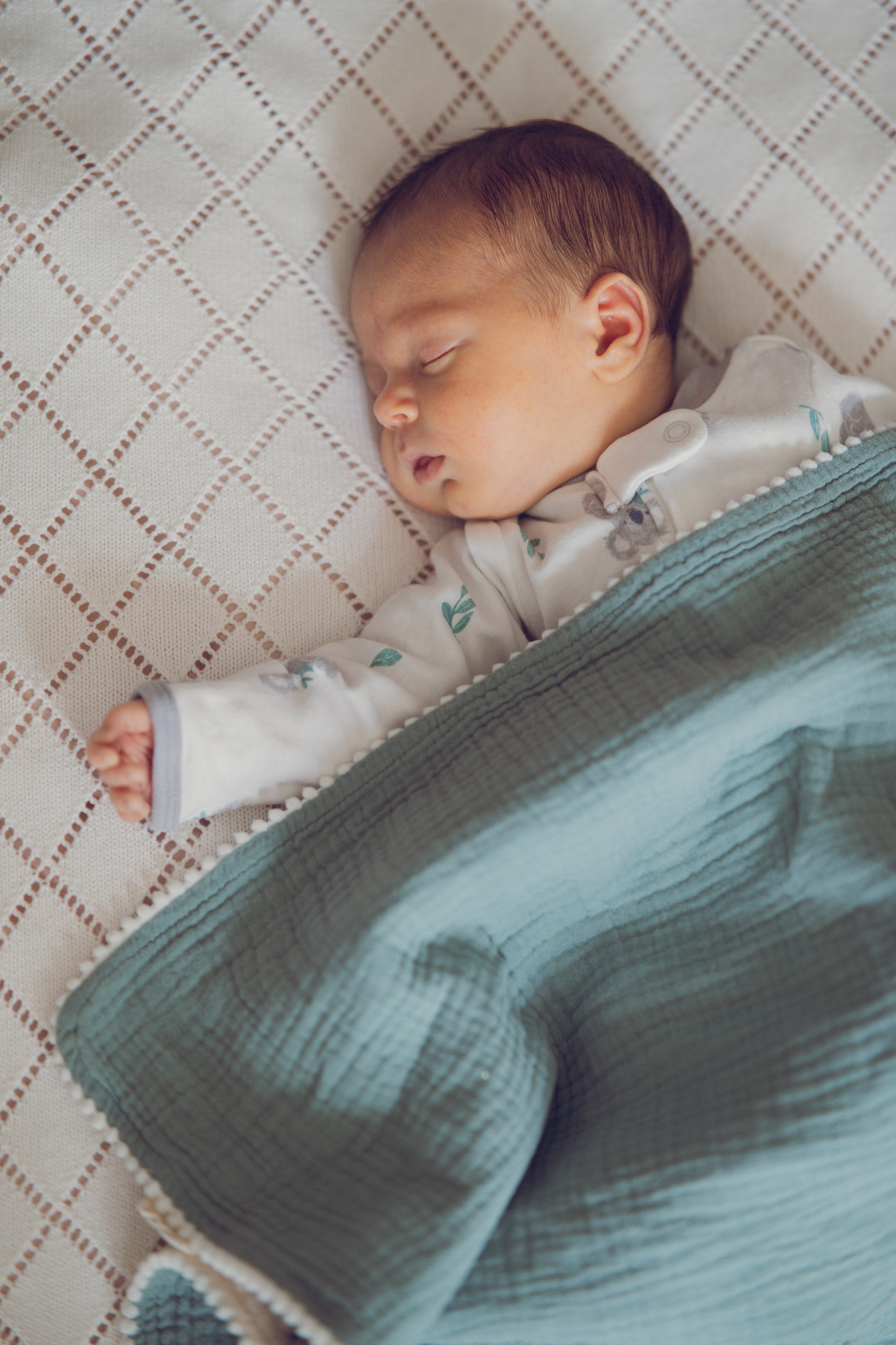 Welcome to the World. Dash_photopic.I’m Daria New York based photographer