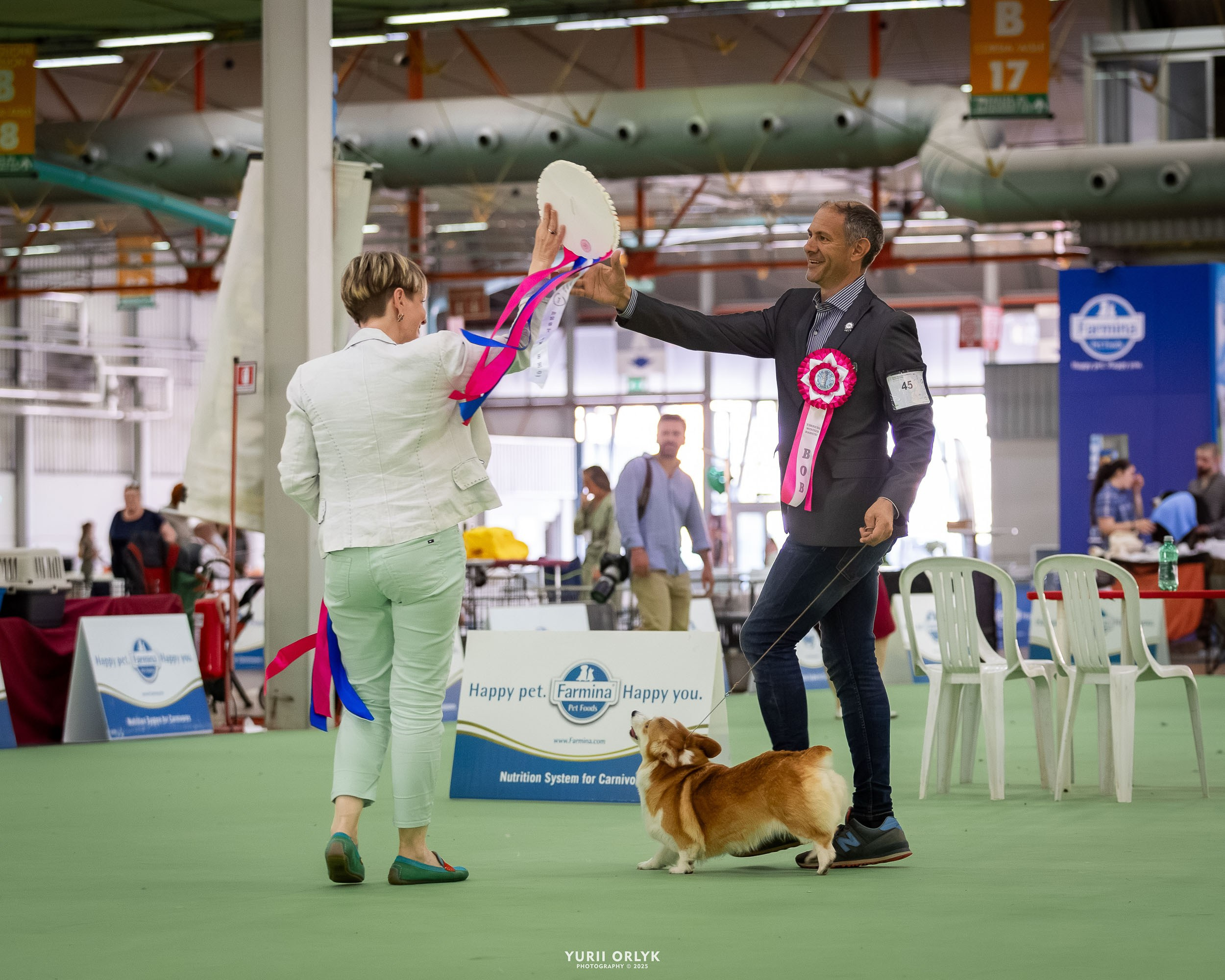 Dog Shows. Yurii Orlyk Photography