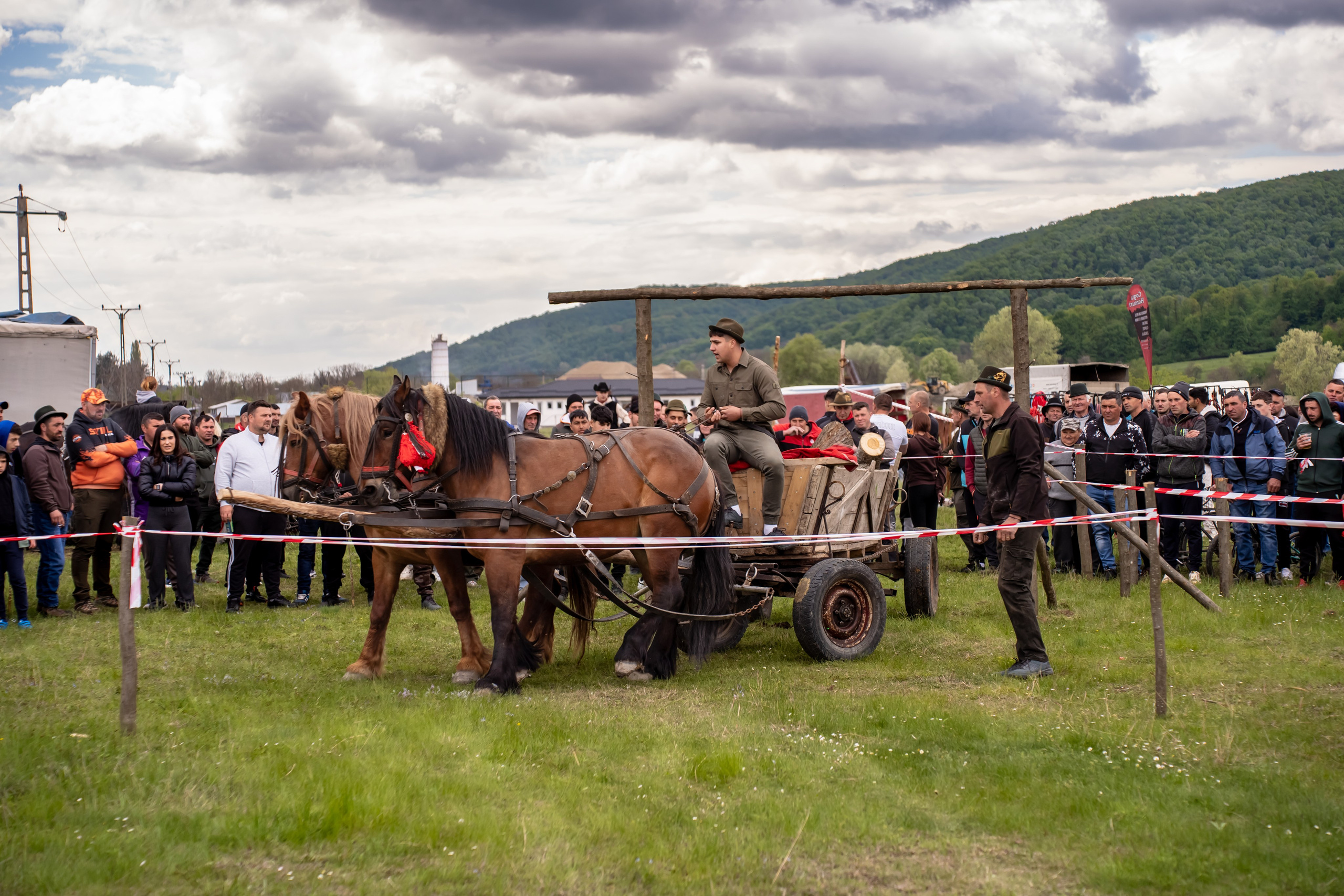 Concurs Ecvestru Vărbilău ediția a 4-a. Mihai Alexandra Events