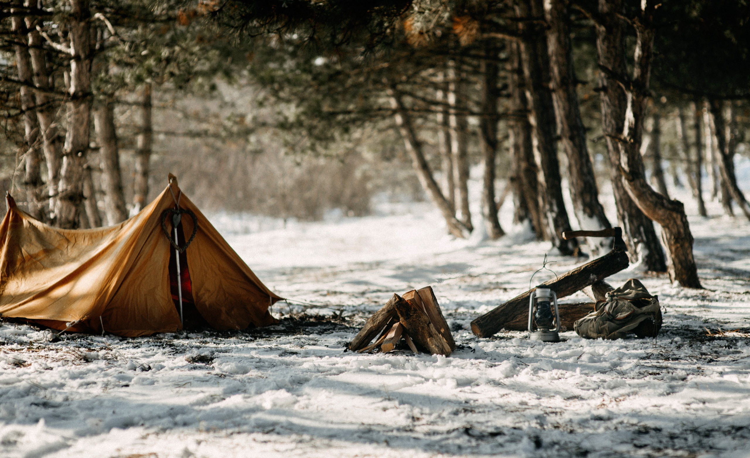 Snowy........... Wedding photographer from Moldova Alexey Chipchiu