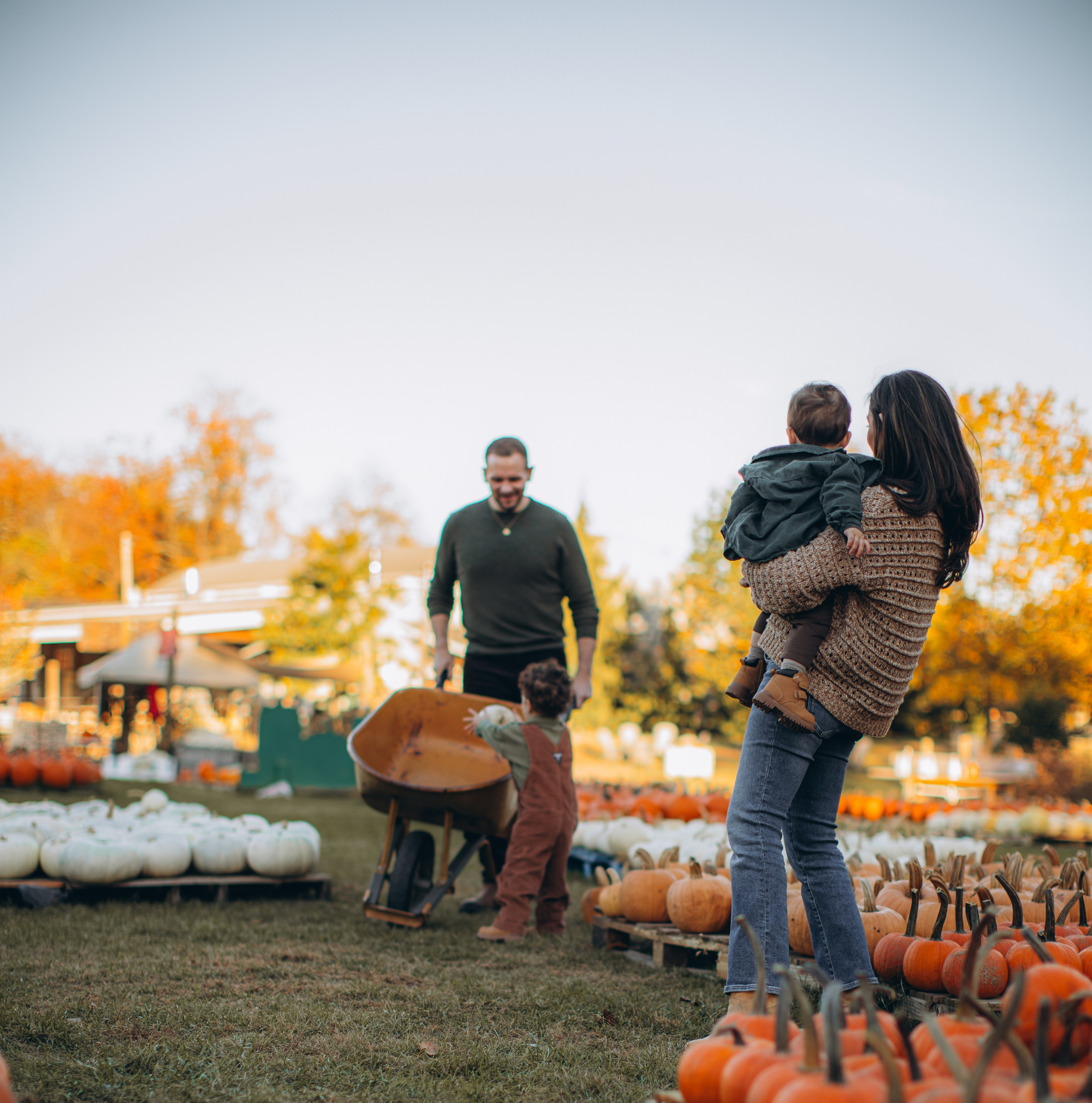 Victoria, Nick, Grayson and Noah at Harvest Moon Farm. Love Through Photo