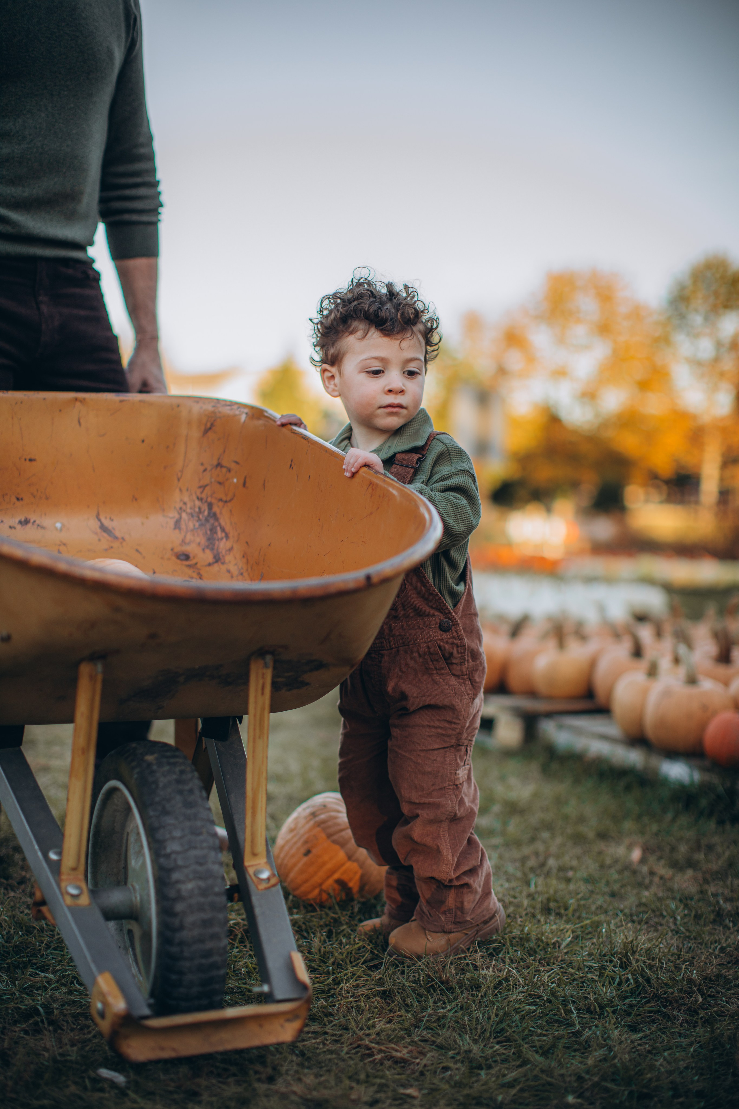 Victoria, Nick, Grayson and Noah at Harvest Moon Farm. Love Through Photo