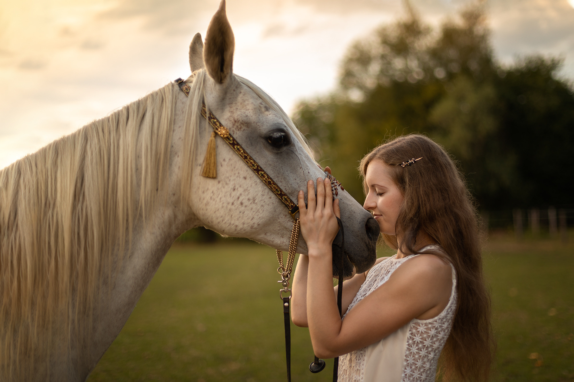 Portraits. Fotograf für Hochzeits- und Familienfotos in Buchen (Odenwald) Mosbach
