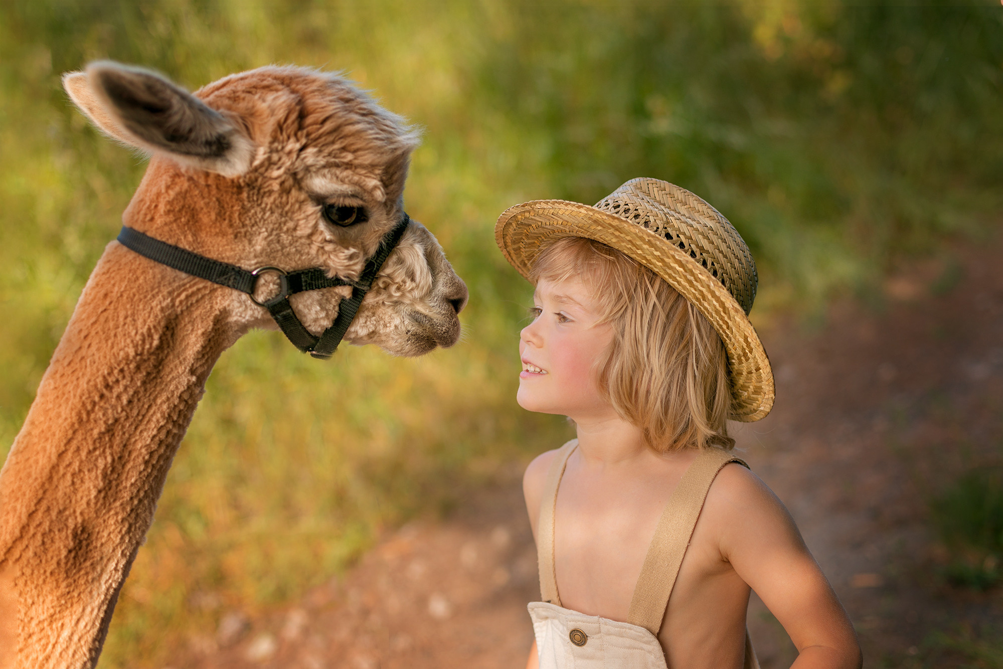 Kinder. Fotograf für Hochzeits- und Familienfotos in Buchen (Odenwald) Mosbach