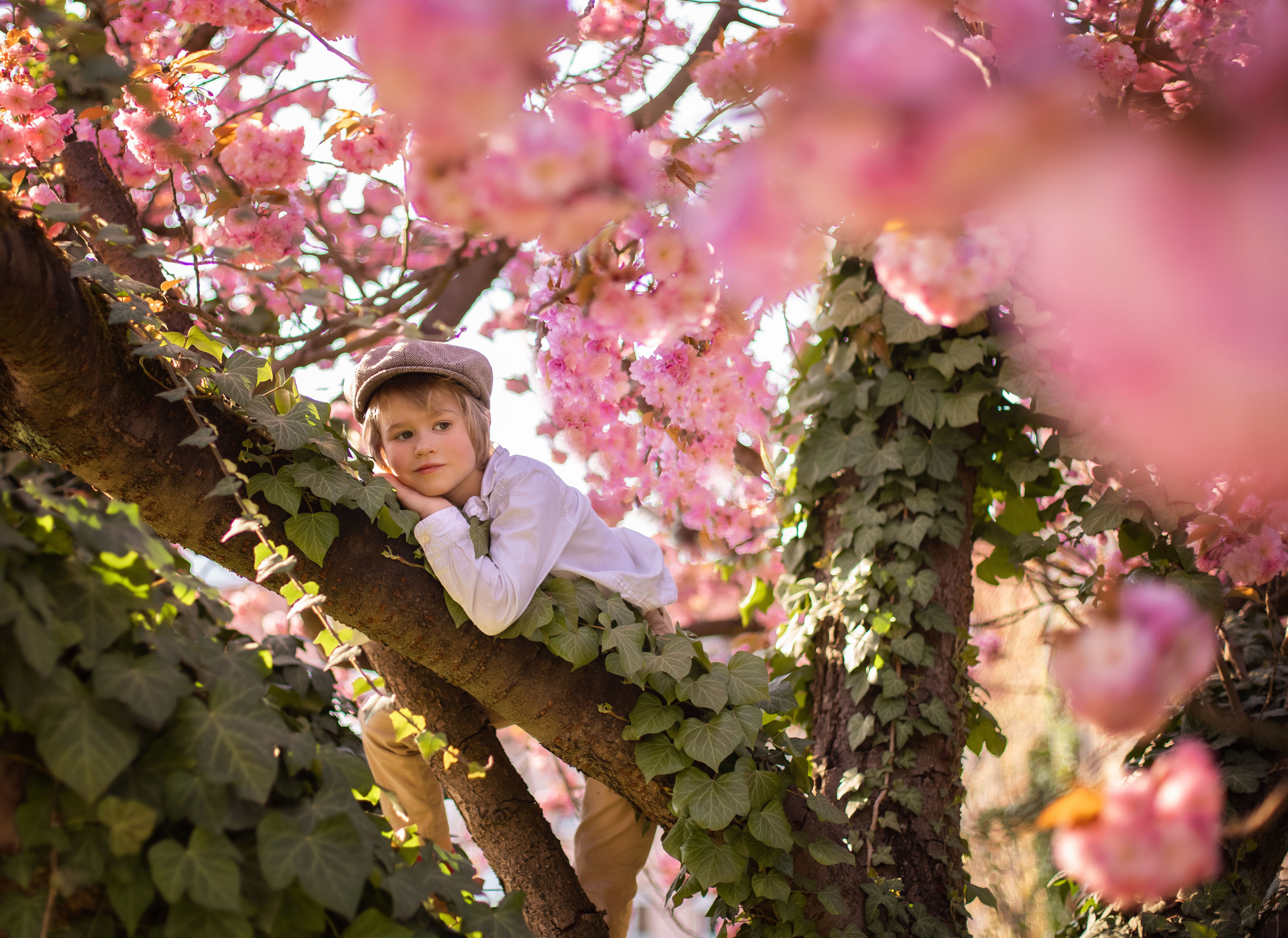 Kinder. Fotograf für Hochzeits- und Familienfotos in Buchen (Odenwald) Mosbach