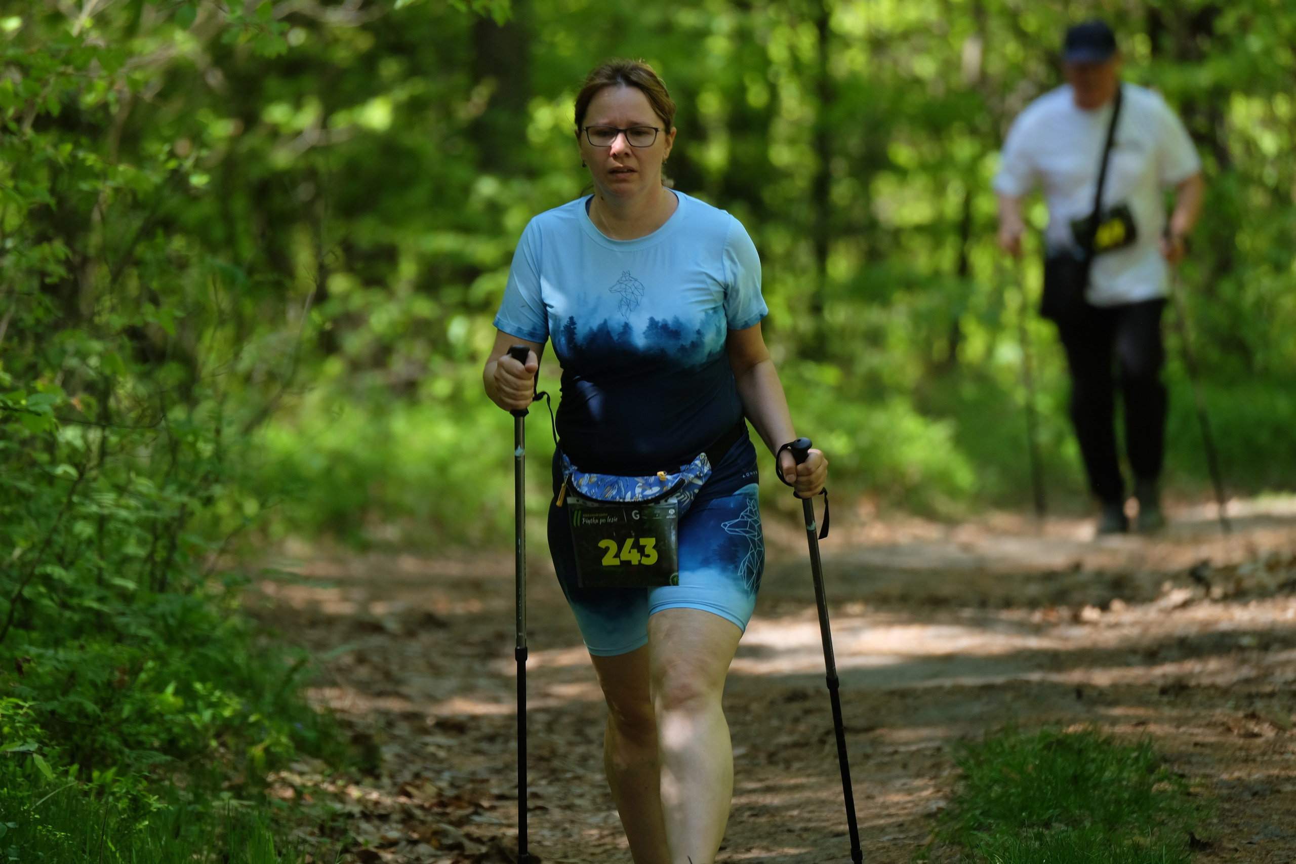 Aleksandryjska Piątka po lesie. Main