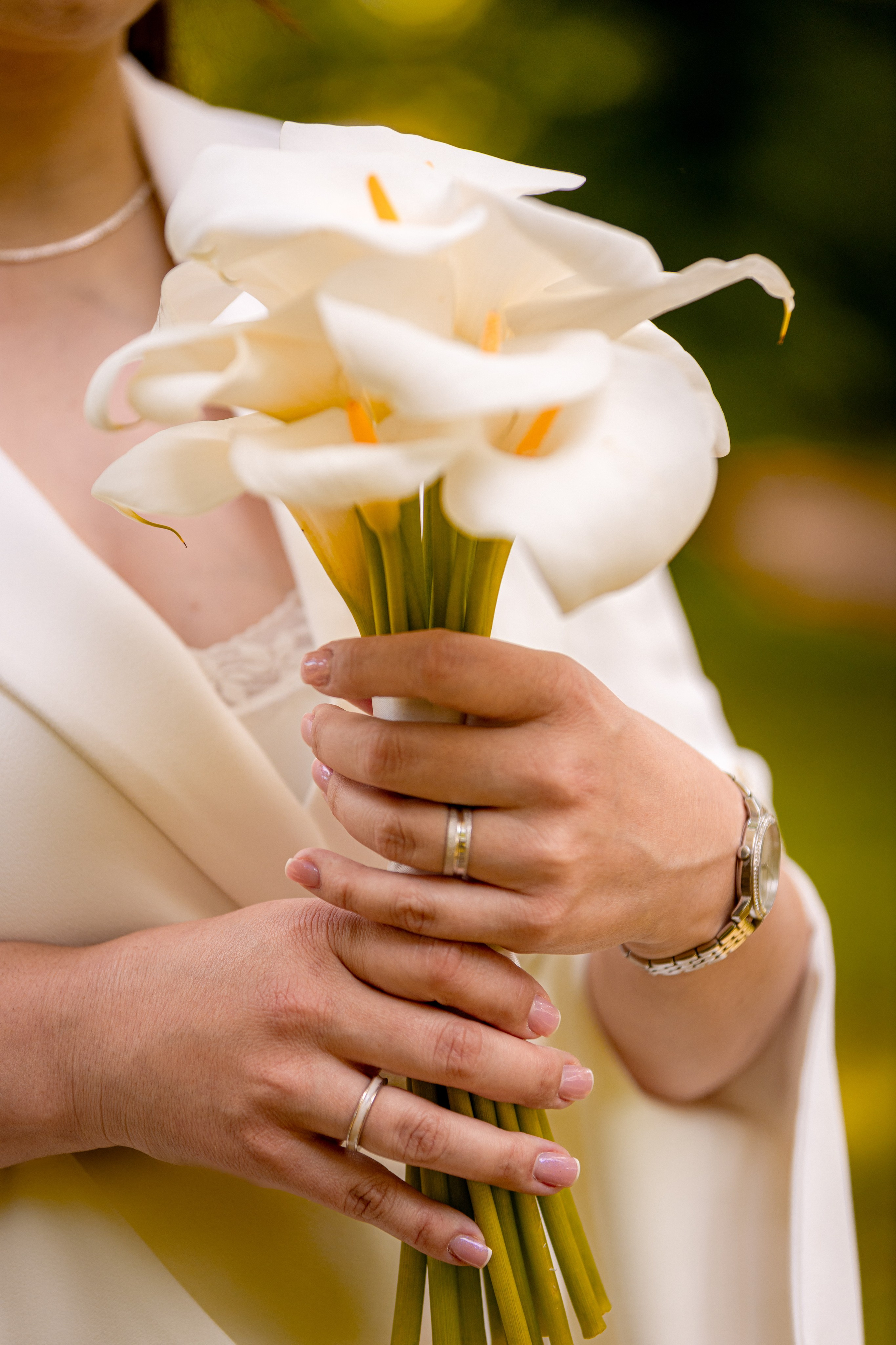 Mima & Bojan. Marko Tucić Photography | Fotograf Zrenjanin