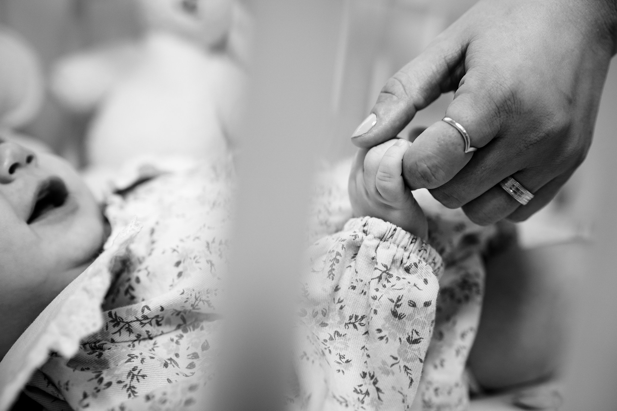 Sweetest devotion. Iris Lara. Acasă