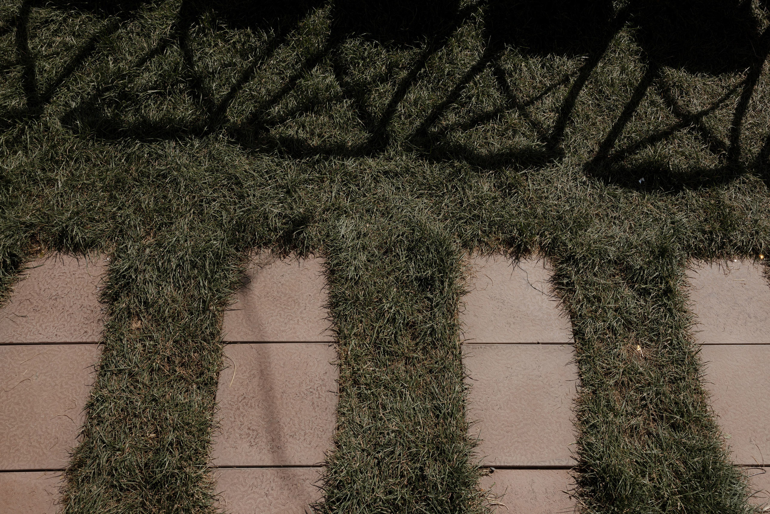 Sultan & Elizaveta. Азимжан Нуритдинходжаев — свадебный фотограф