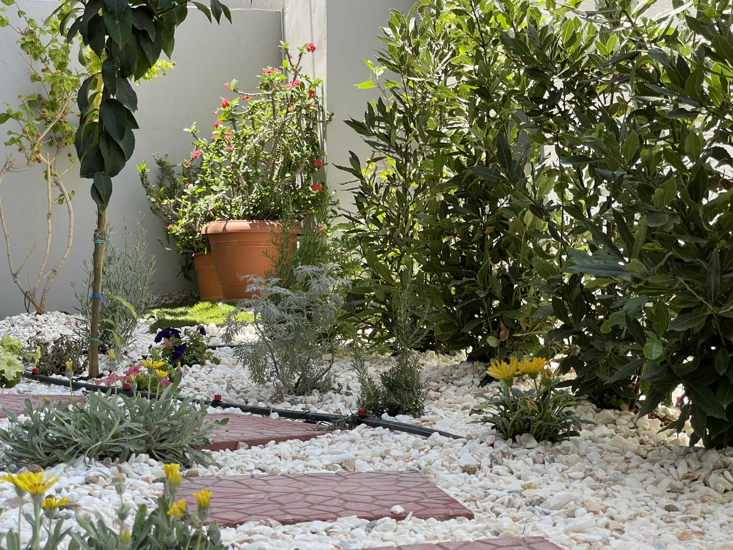 Kήπος Νεάπολη Νίκαιας. Geoponitikon-Όταν η Επιστήμη συναντά την Τέχνη στο Φυσικό Τοπίο!