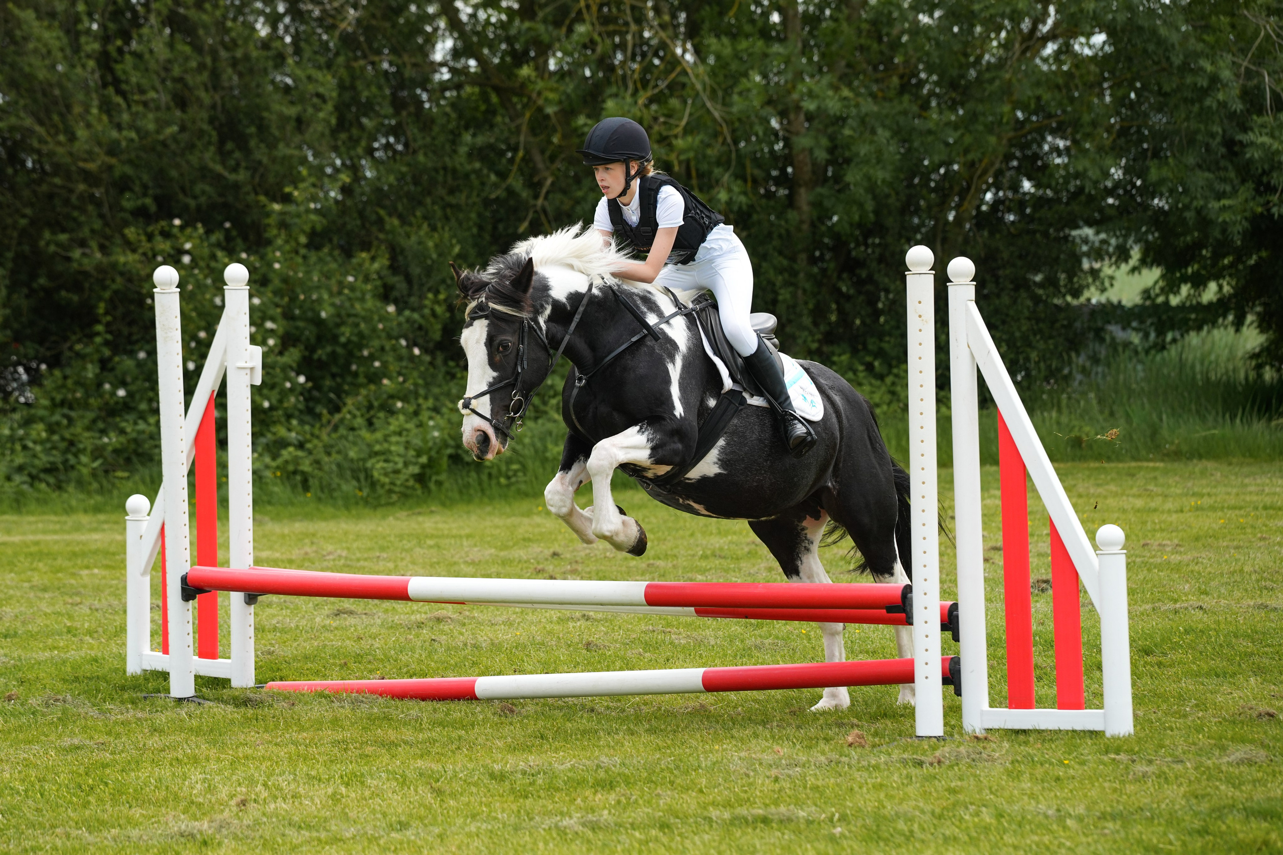 Show Jumping Photography in Leicestershire | Equine Action Shots by El. Leicestershire Equine Photography by El | Authentic Equine Portraits & Events