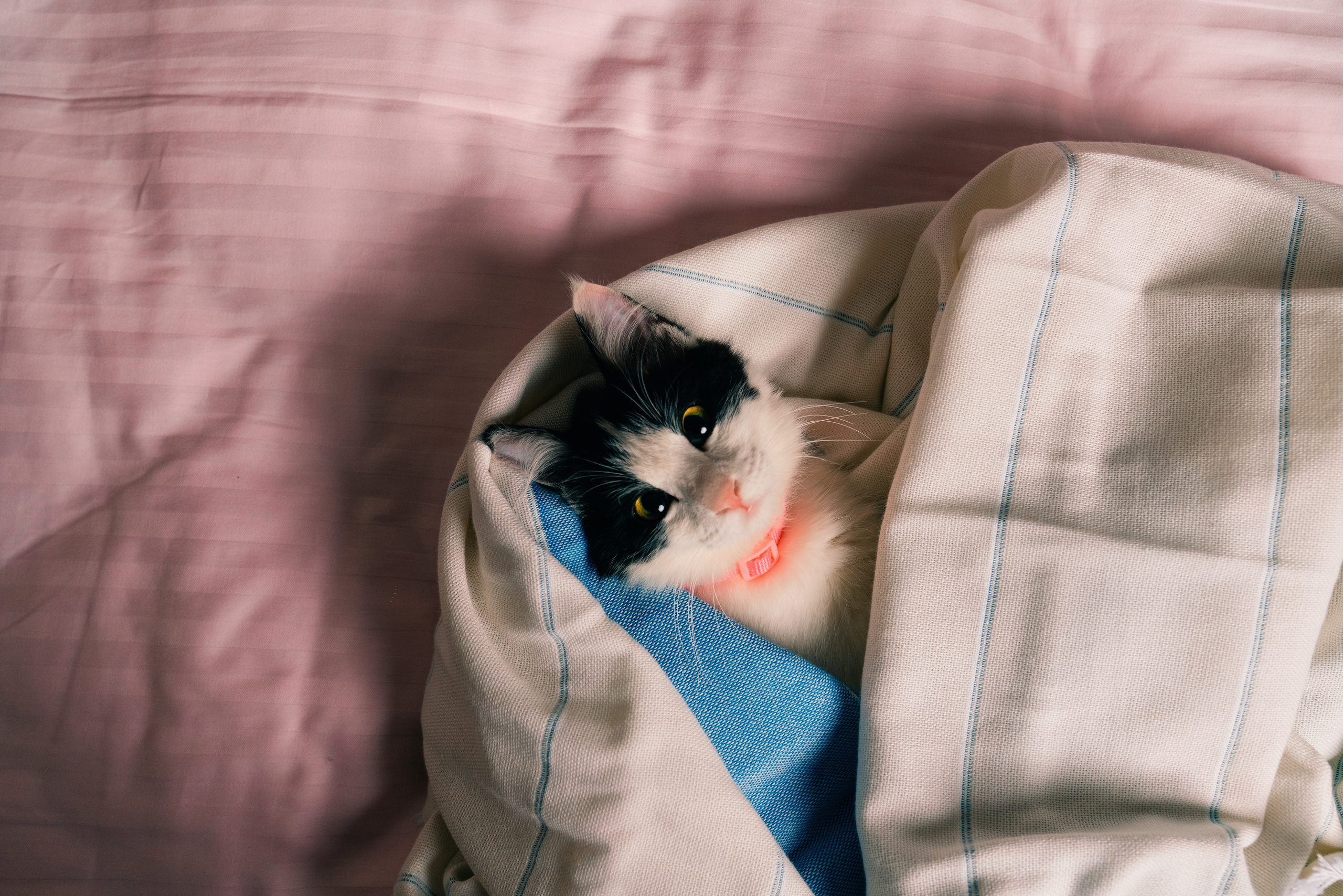 Коммерческая съёмка для текстильной фабрики. Фотограф в Узбекистане и Самарканде Джасур Марупов