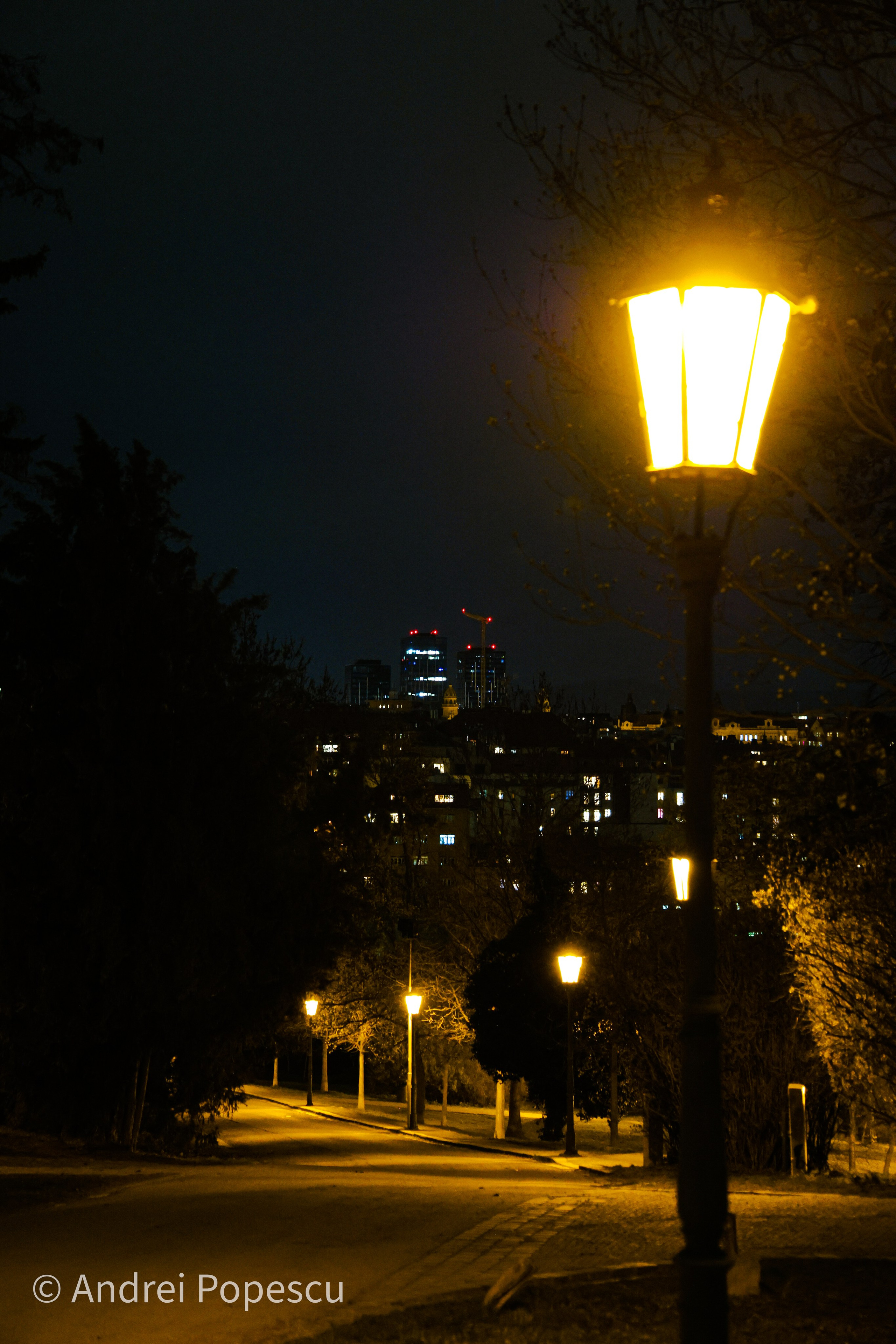 Brno