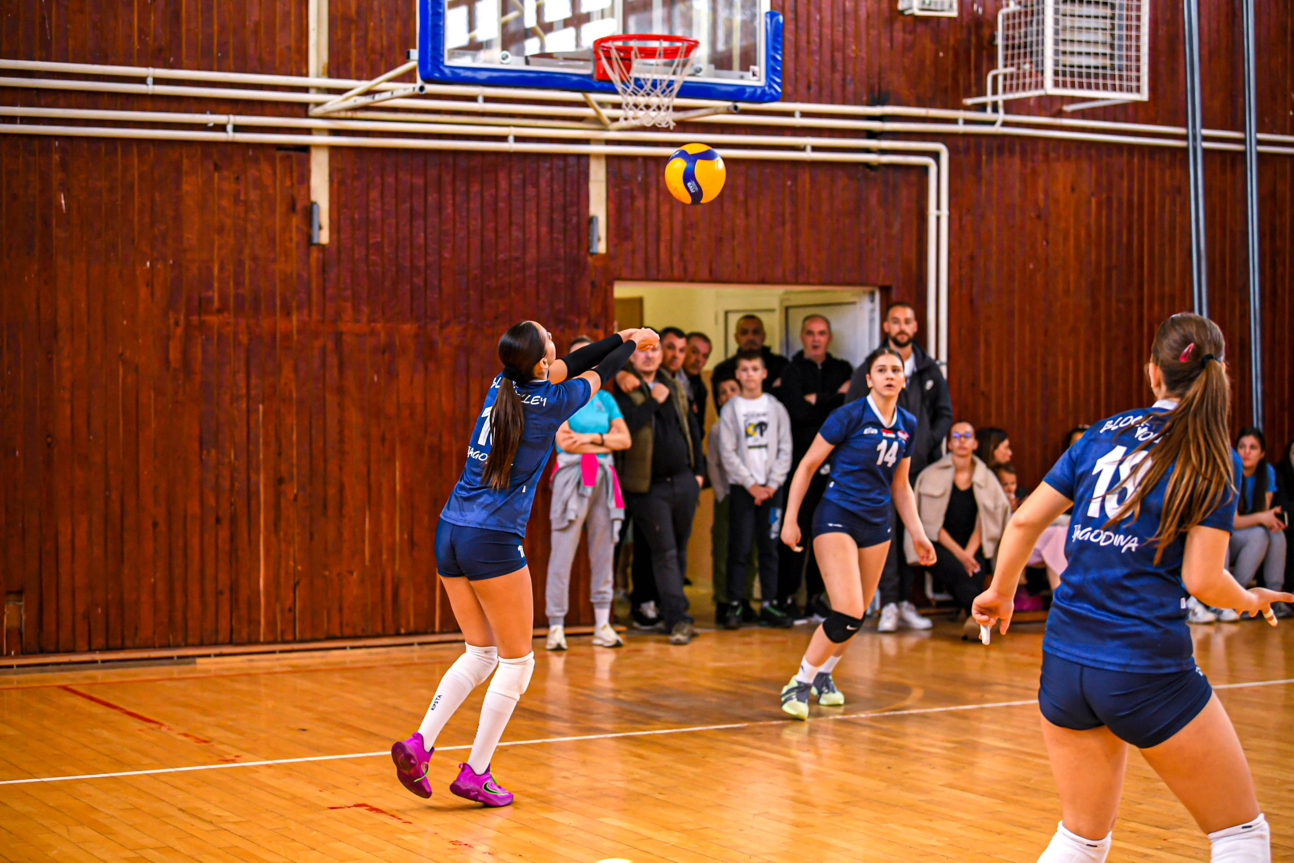 Odbojka 22.03.  Radnicki KG — BlockVolley JAG. Foto Simic Jagodina