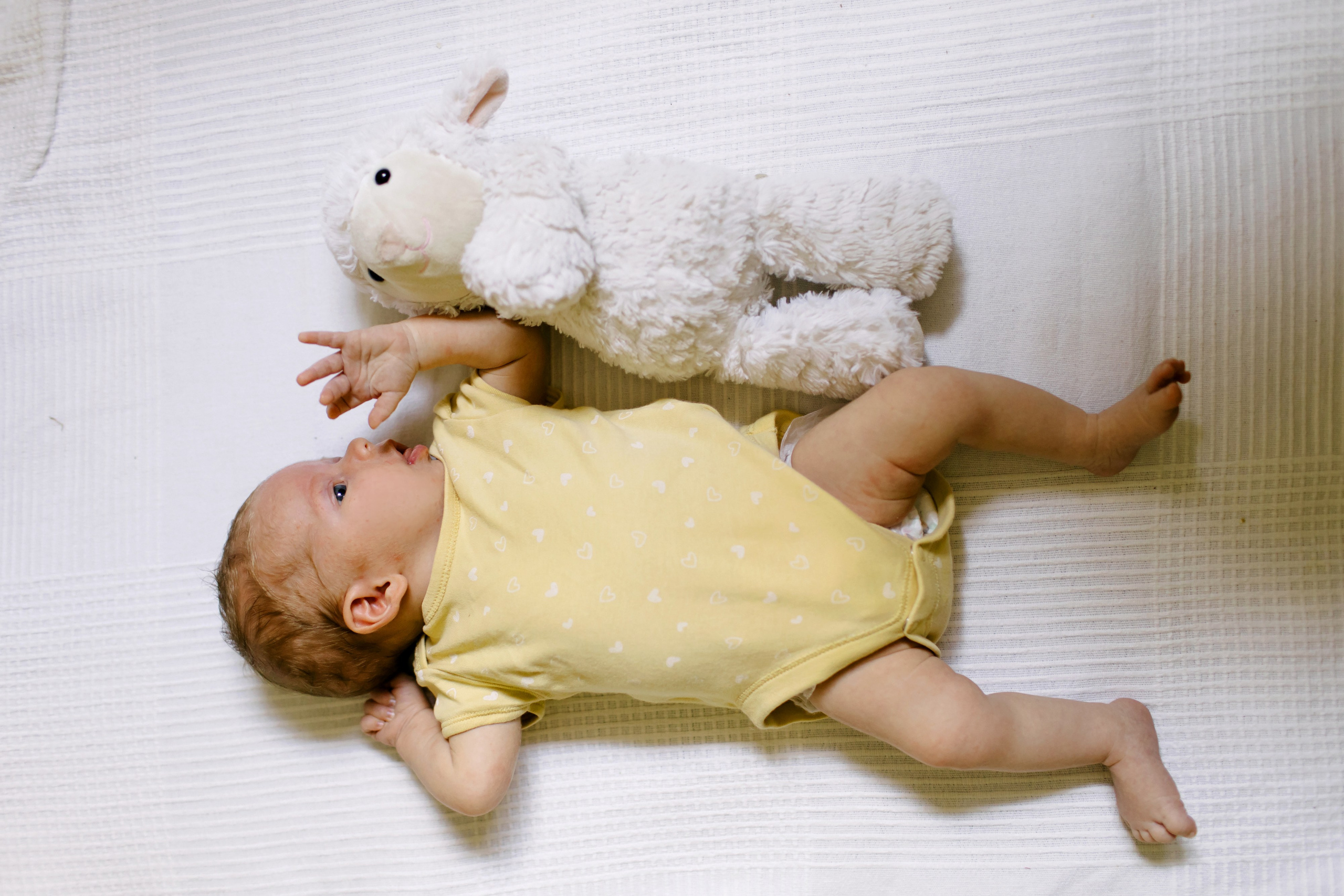 Ella 2 month. Family photographer in Israel