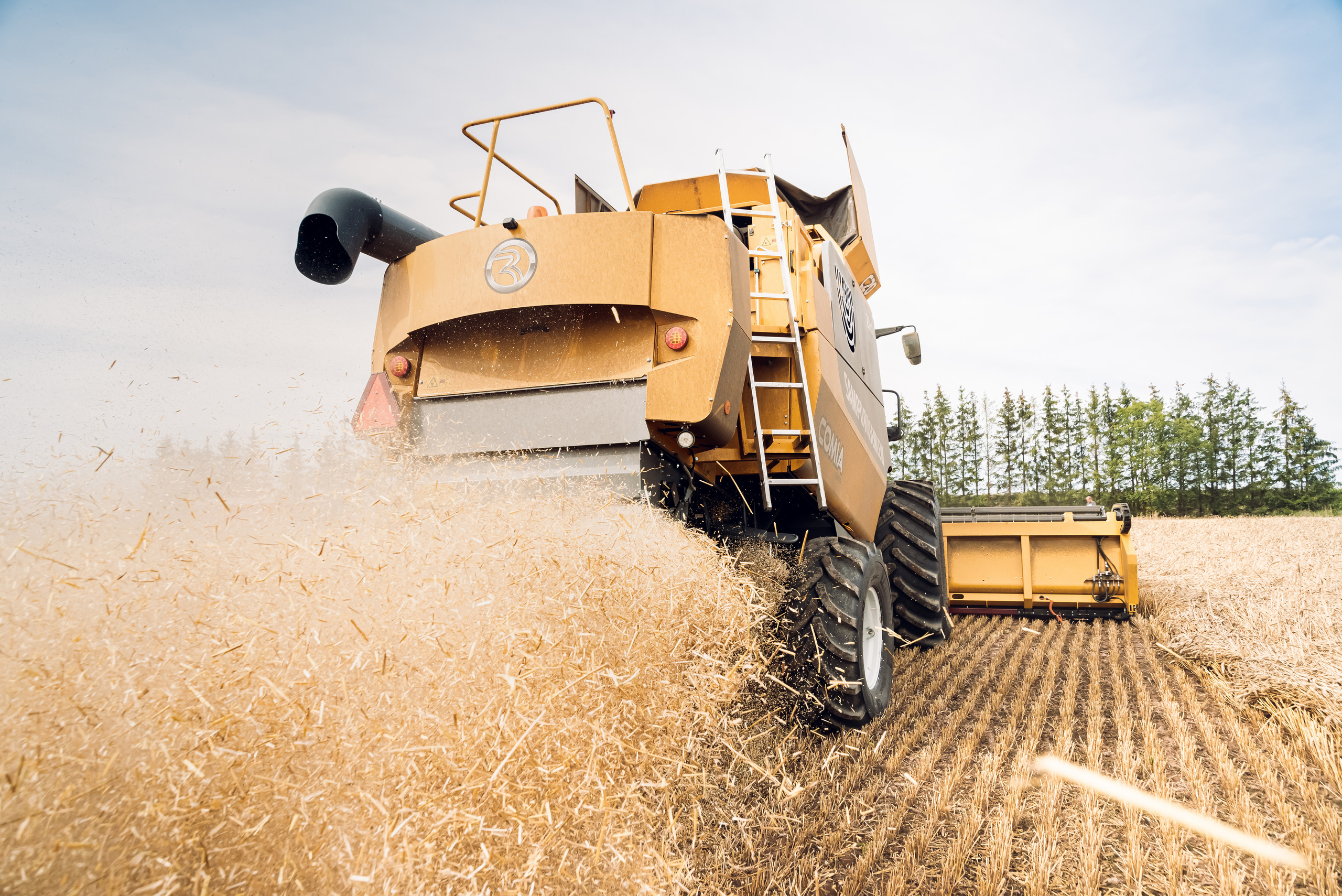 Armuss. Fotogrāfs Rīgā. Gīmenes, individuālās un dažādu produktu fotosesijas