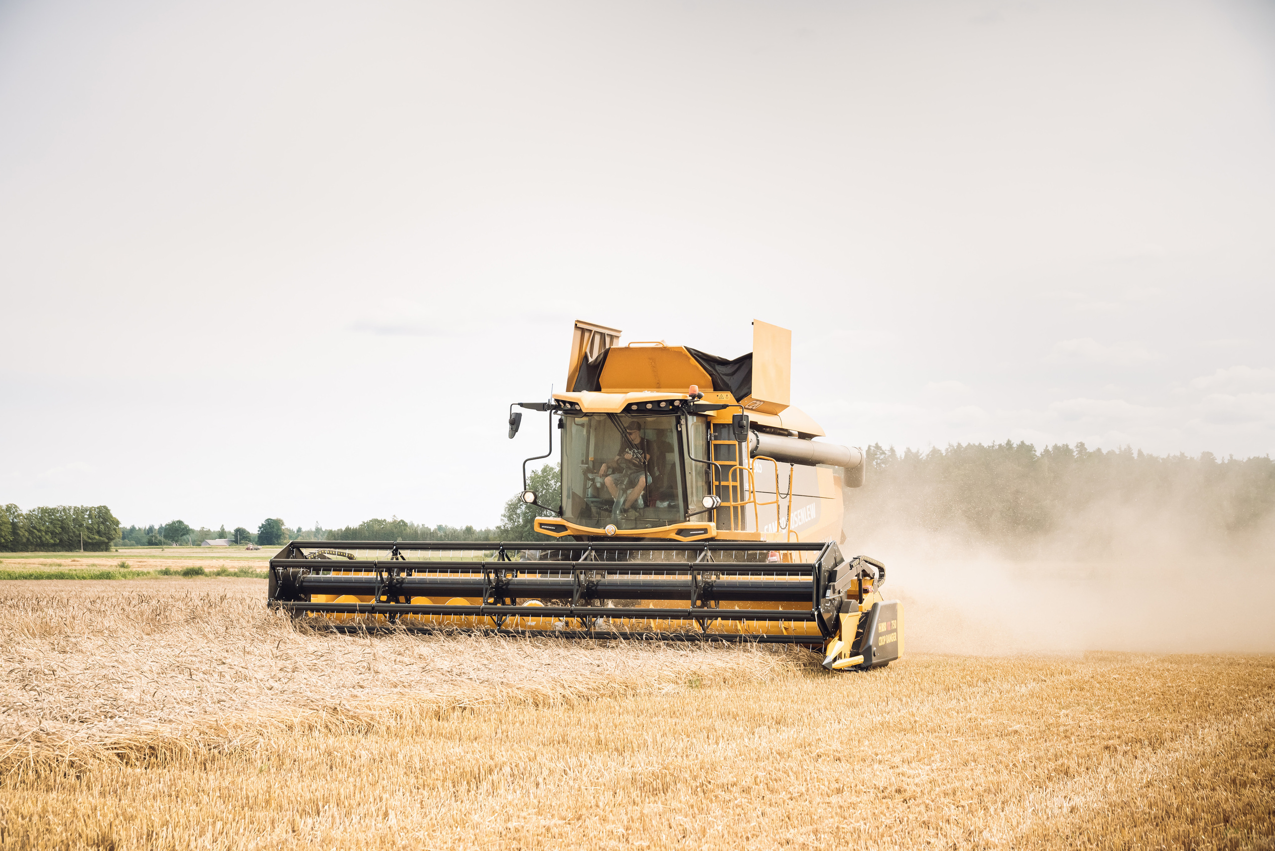 Armuss. Fotogrāfs Rīgā. Gīmenes, individuālās un dažādu produktu fotosesijas