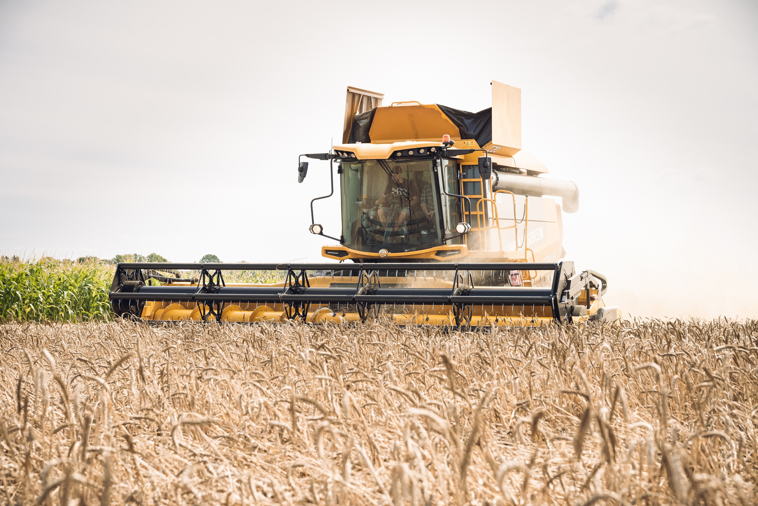 Armuss. Fotogrāfs Rīgā. Gīmenes, individuālās un dažādu produktu fotosesijas