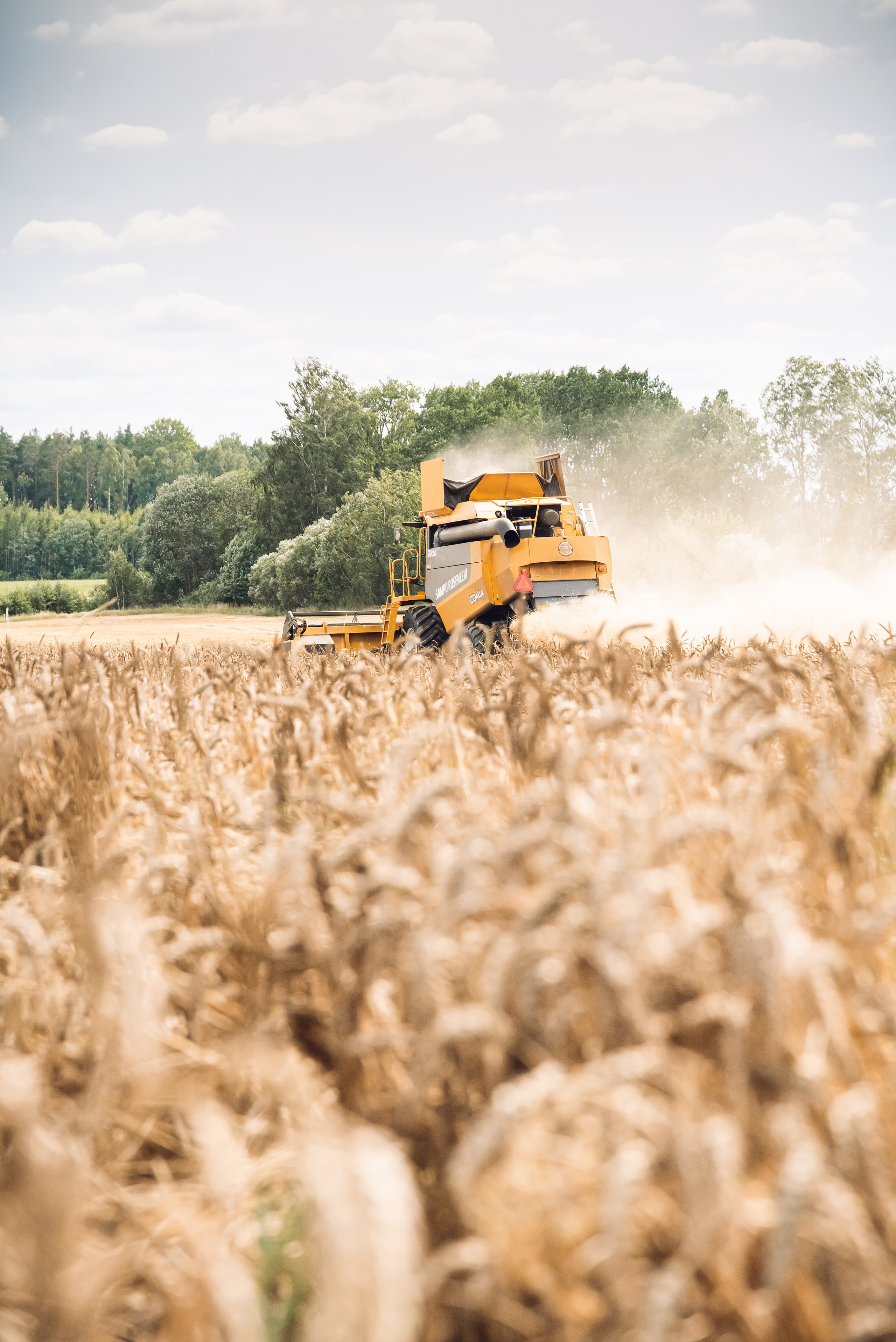 Armuss. Fotogrāfs Rīgā. Gīmenes, individuālās un dažādu produktu fotosesijas