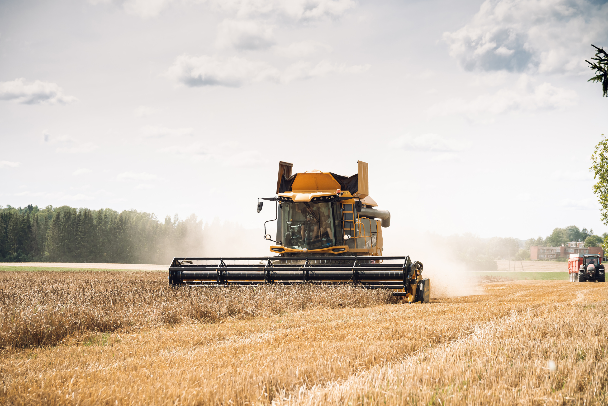 Armuss. Fotogrāfs Rīgā. Gīmenes, individuālās un dažādu produktu fotosesijas
