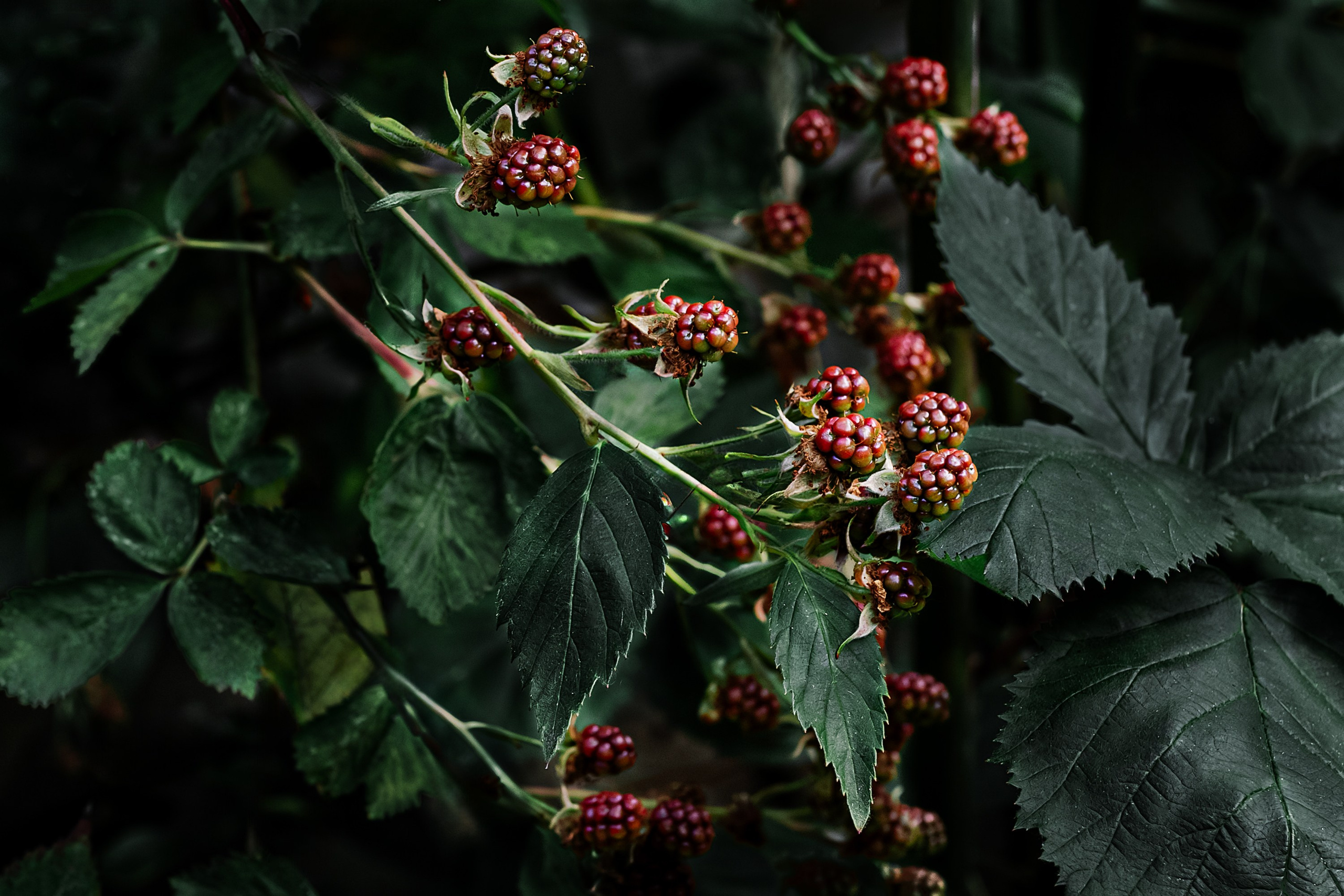 Paula & Ed — Maidstone. August, 2022. Timeless Wedding & Event Photography from London to the world