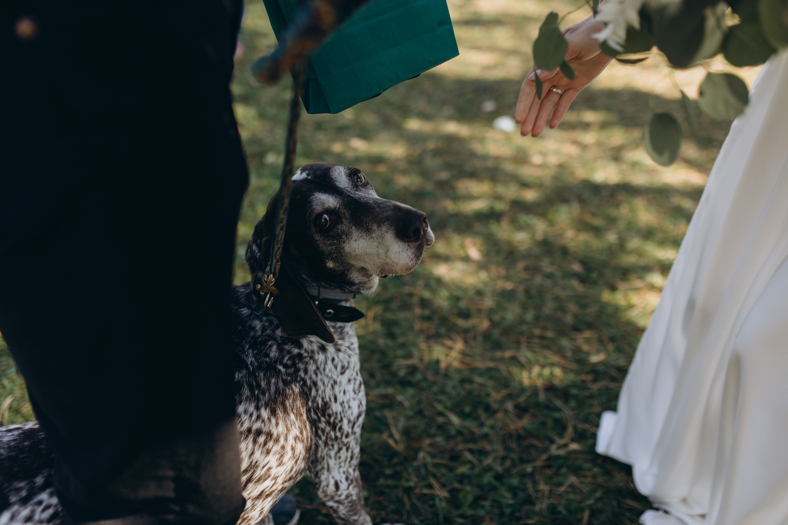 Spalio vestuvės. Vestuvių ir šeimų fotografė Lena Bondarenko / belove photo