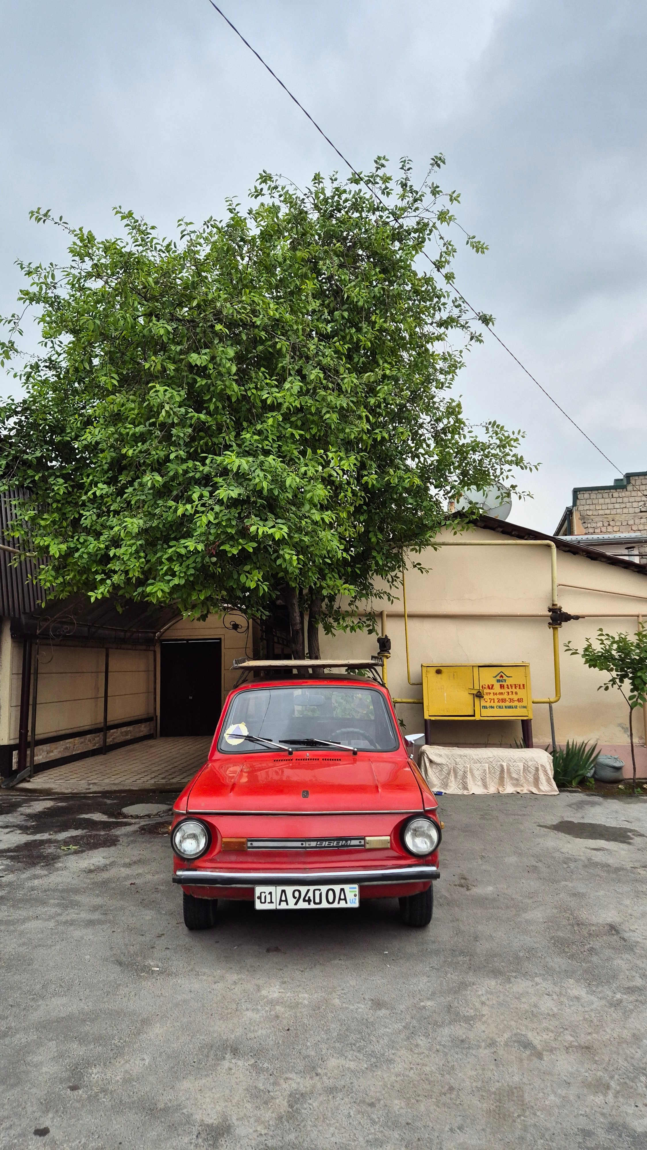 Uzbekistan 2024. Photographer Marina, city of Nuremberg